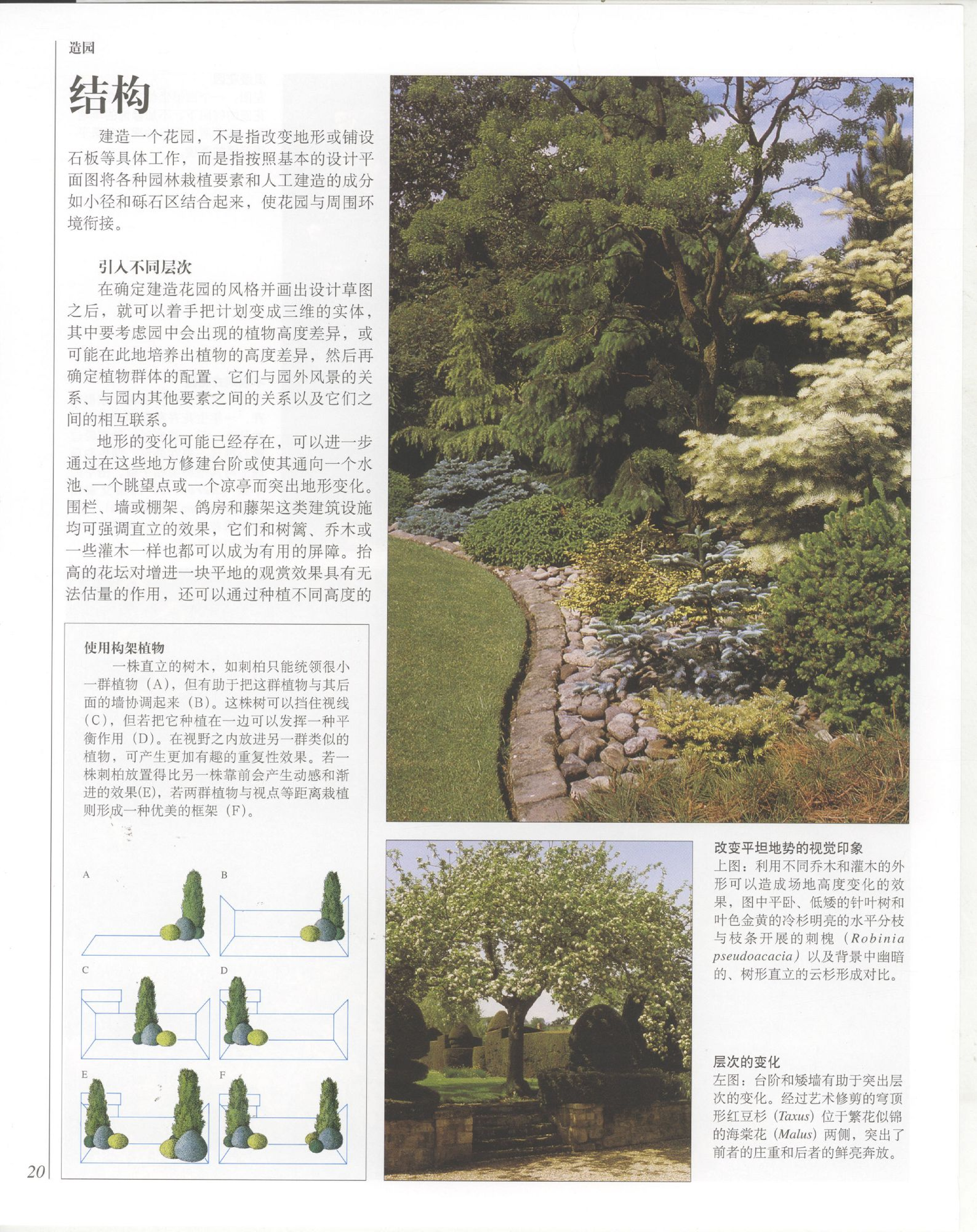 世界园林植物与花卉百科全书.2造园与植物选择.pdf 第6页