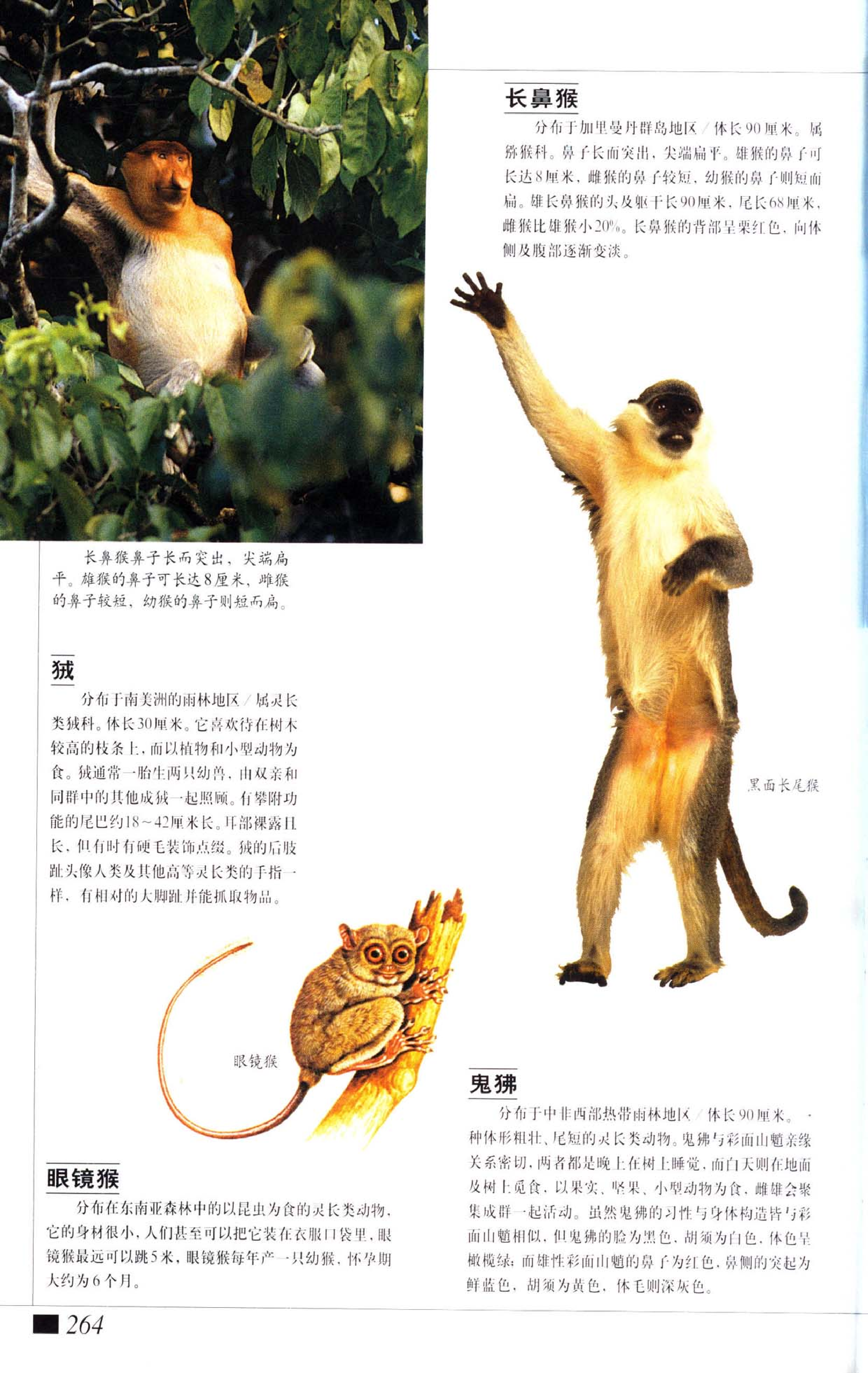 《世界最美丽的560种动物-4》主编：溥奎.pdf 第1页