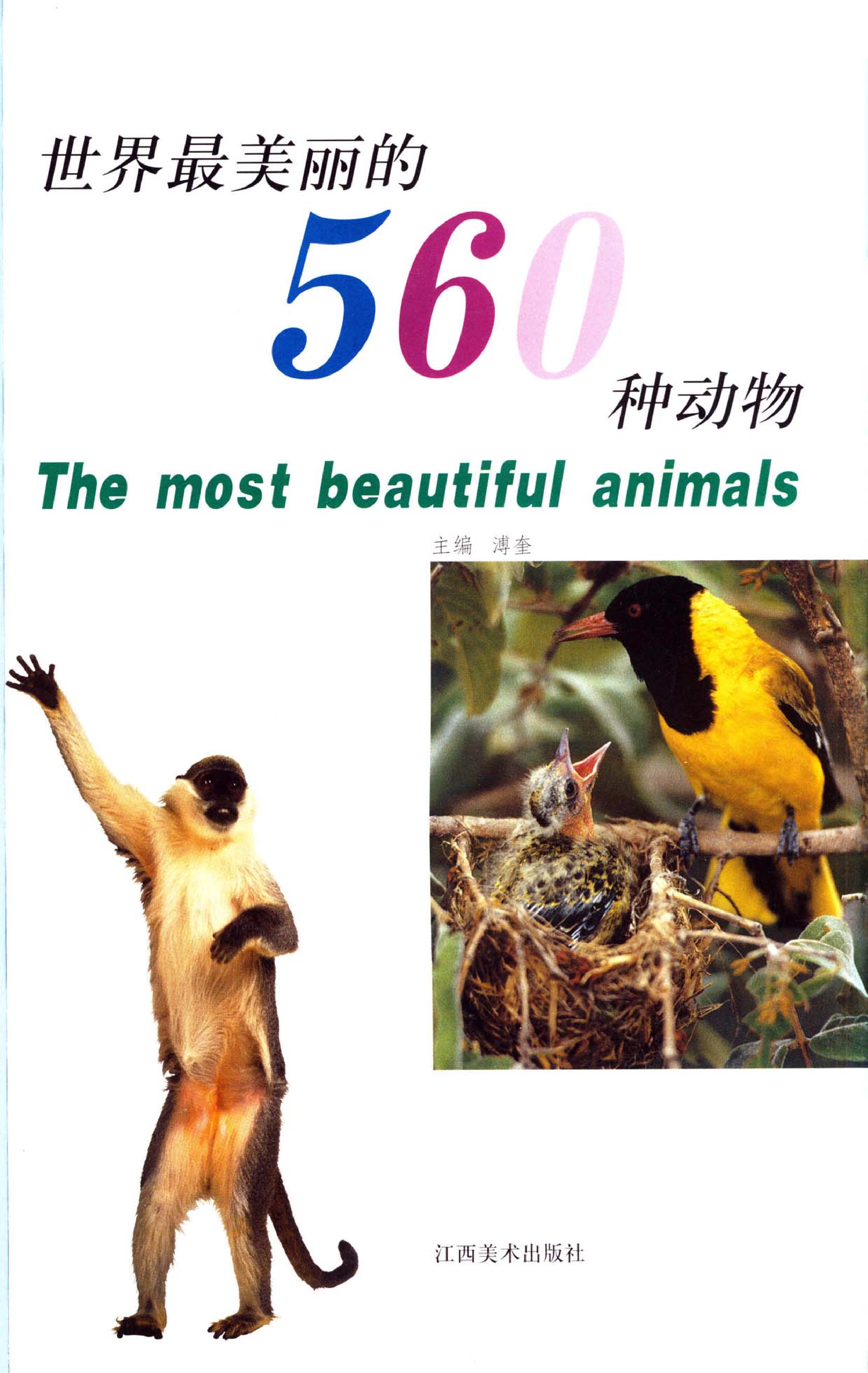 《世界最美丽的560种动物-1》主编：溥奎.pdf 第3页
