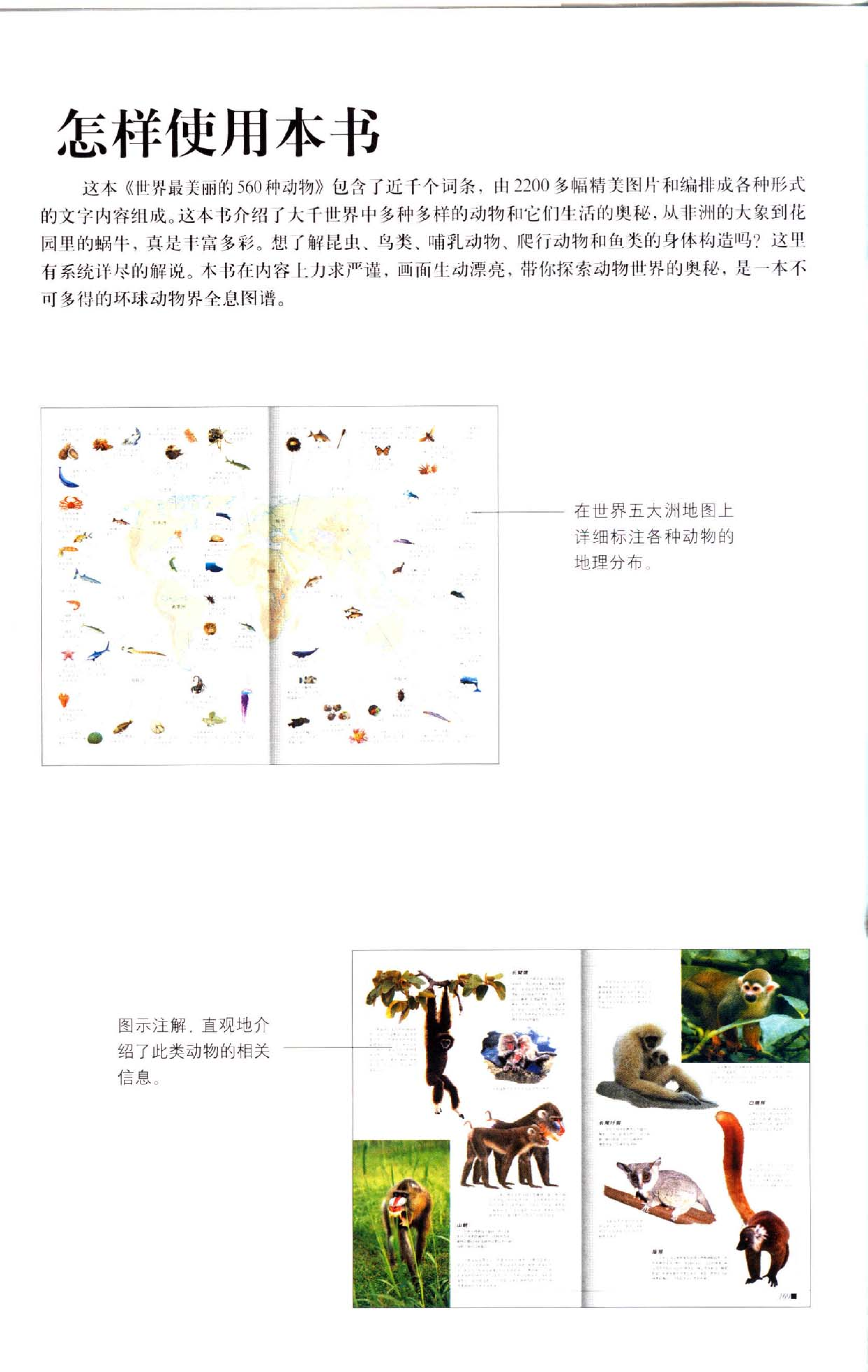 《世界最美丽的560种动物-1》主编：溥奎.pdf 第6页