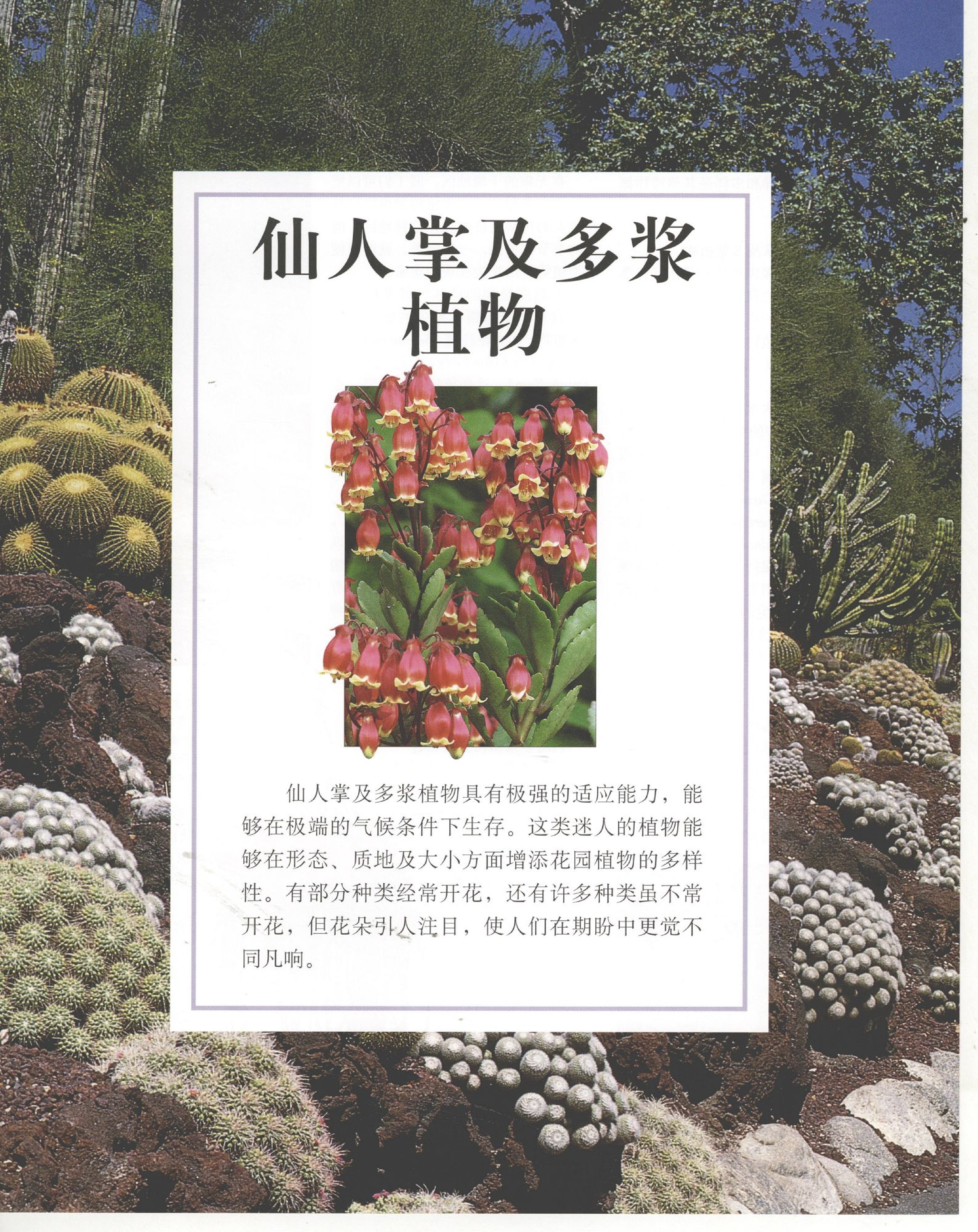 世界园林植物与花卉百科全书.11仙人掌及多浆植物.pdf 第1页
