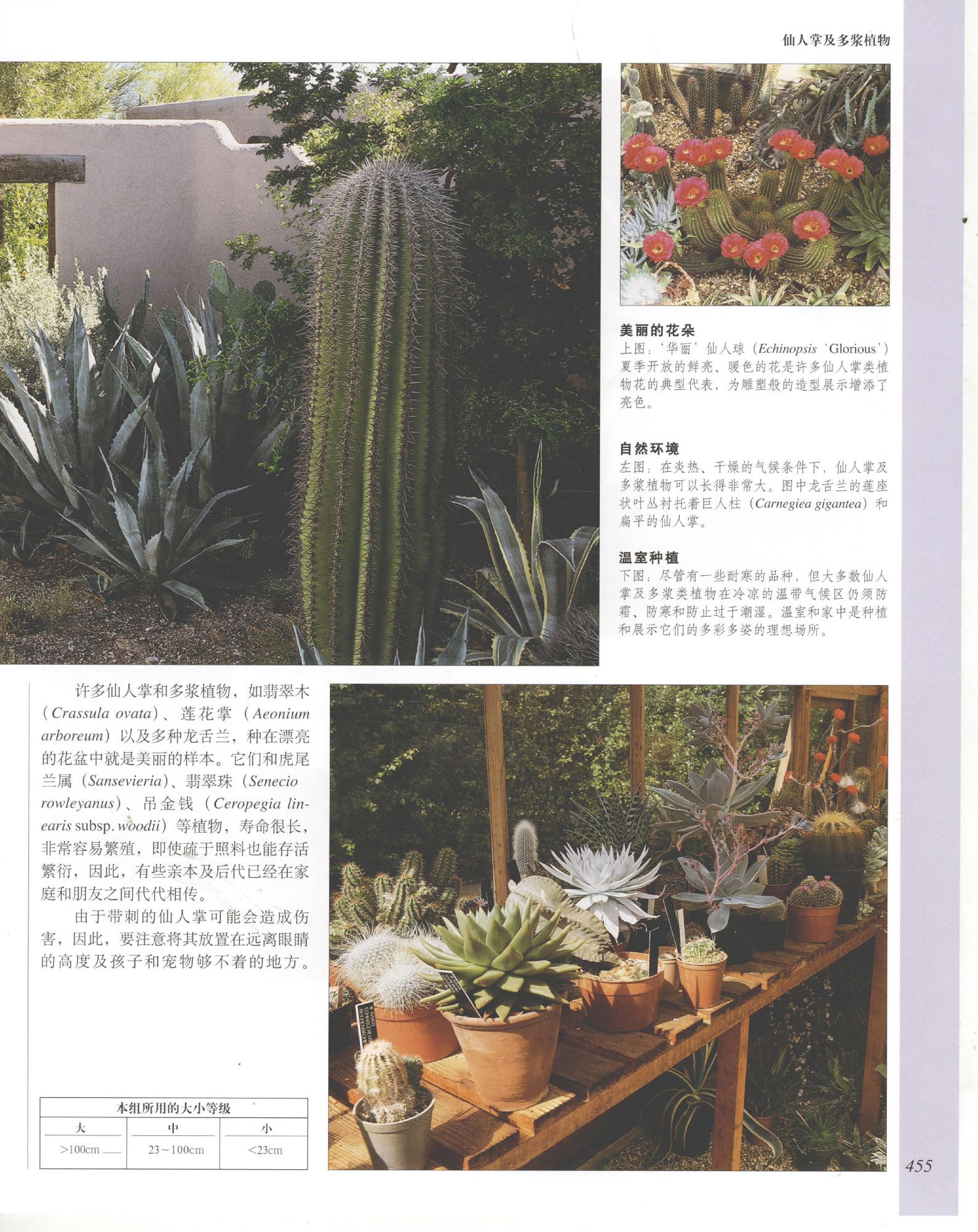 世界园林植物与花卉百科全书.11仙人掌及多浆植物.pdf 第3页