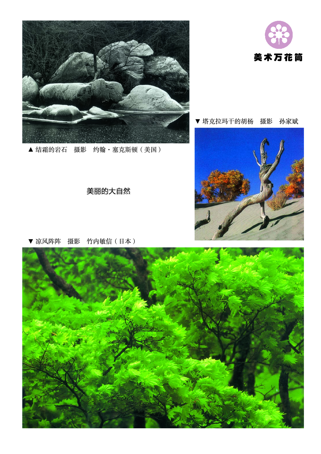 湘美版3年级美术上册【高清教材】.pdf 第2页