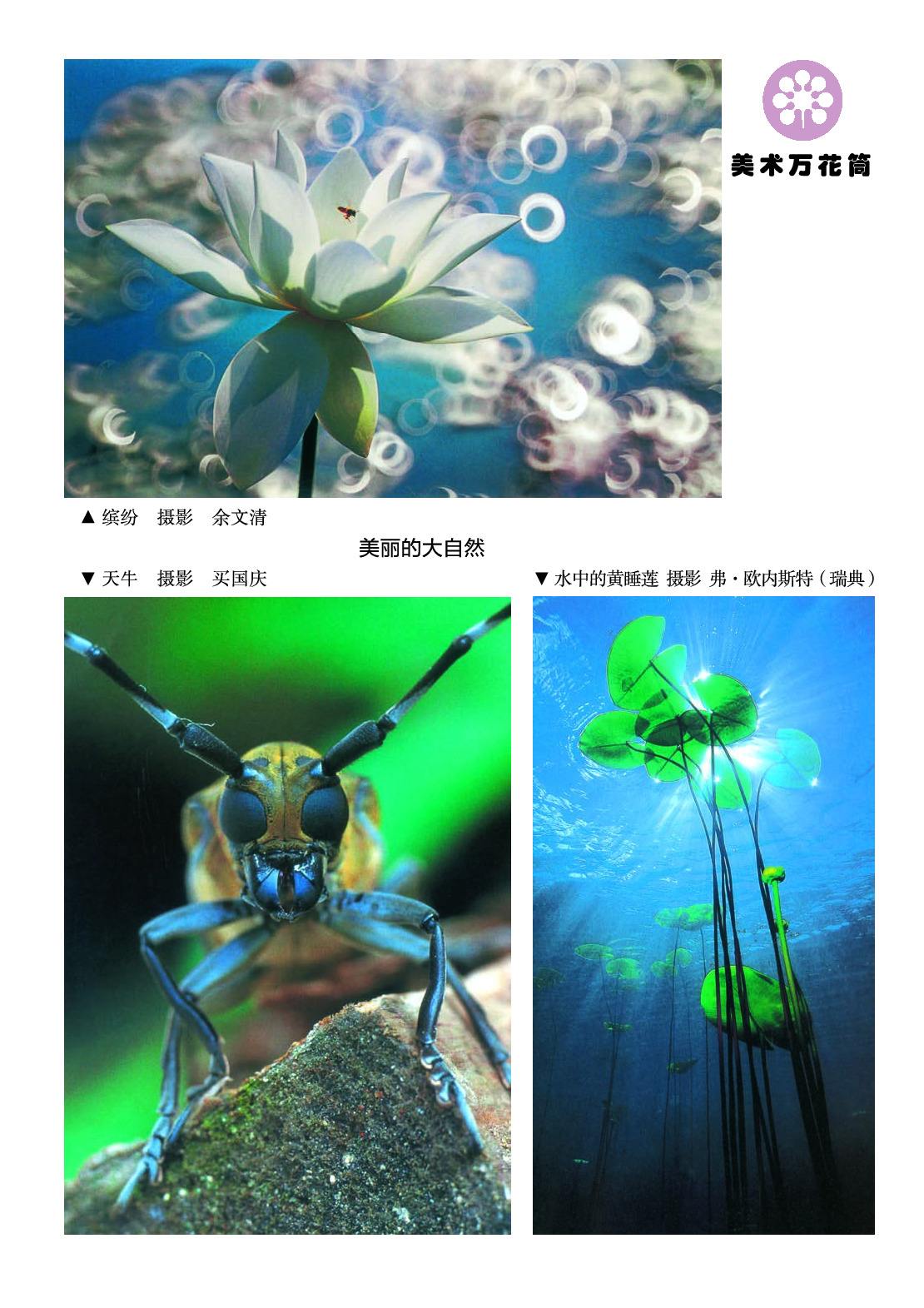 湘美版2年级美术下册【高清教材】.pdf 第2页