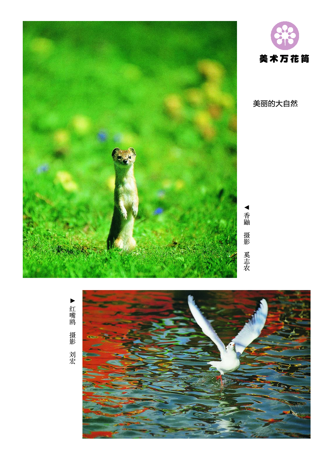 湘美版2年级美术上册【高清教材】.pdf 第2页