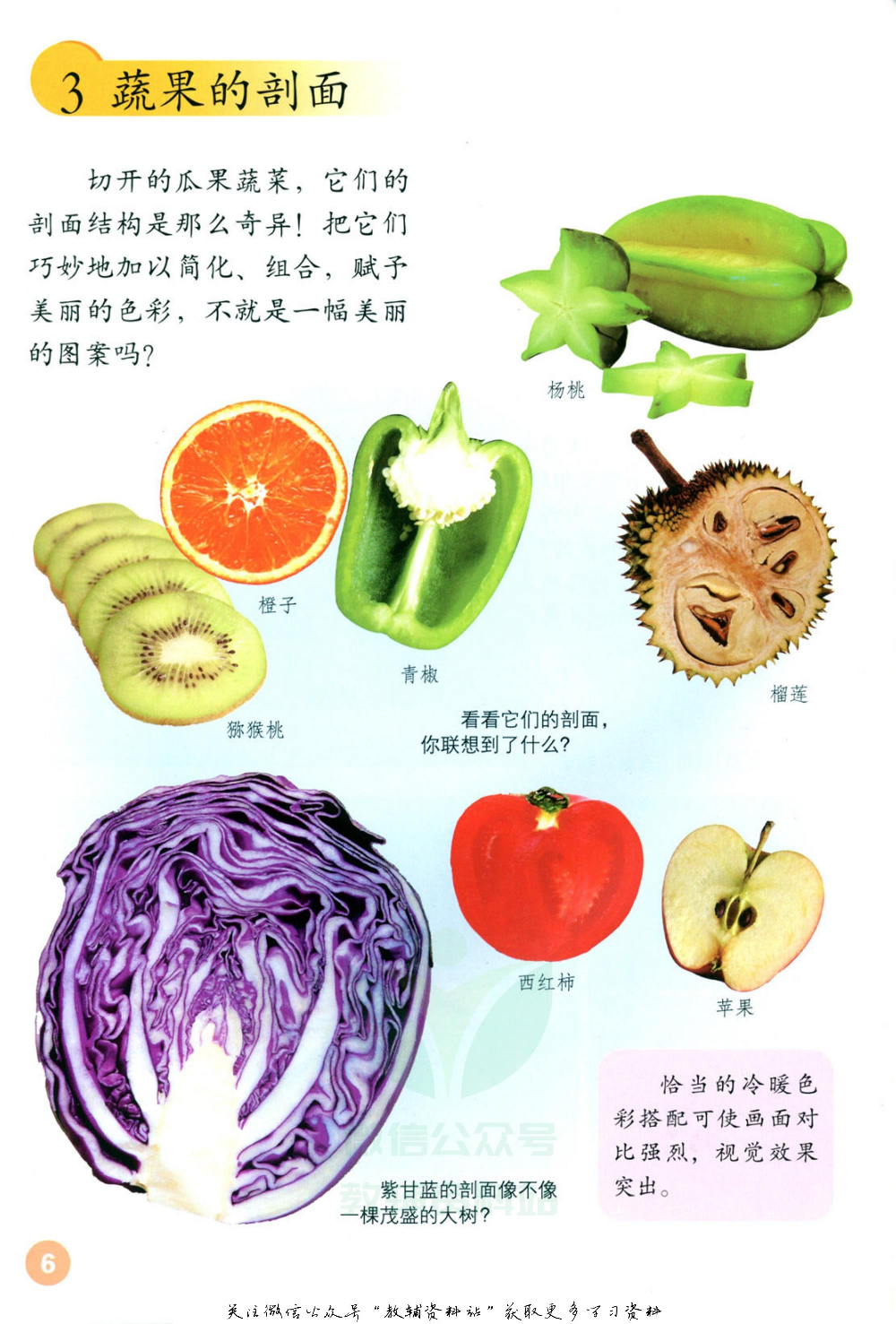 四年级上册美术鲁教版电子课本.pdf 第5页