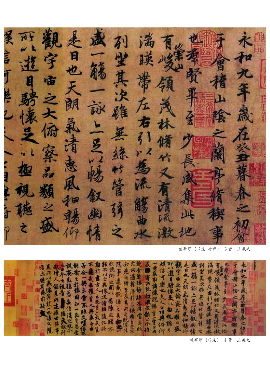 浙教版8年级美术下册【高清教材】.pdf 第5页