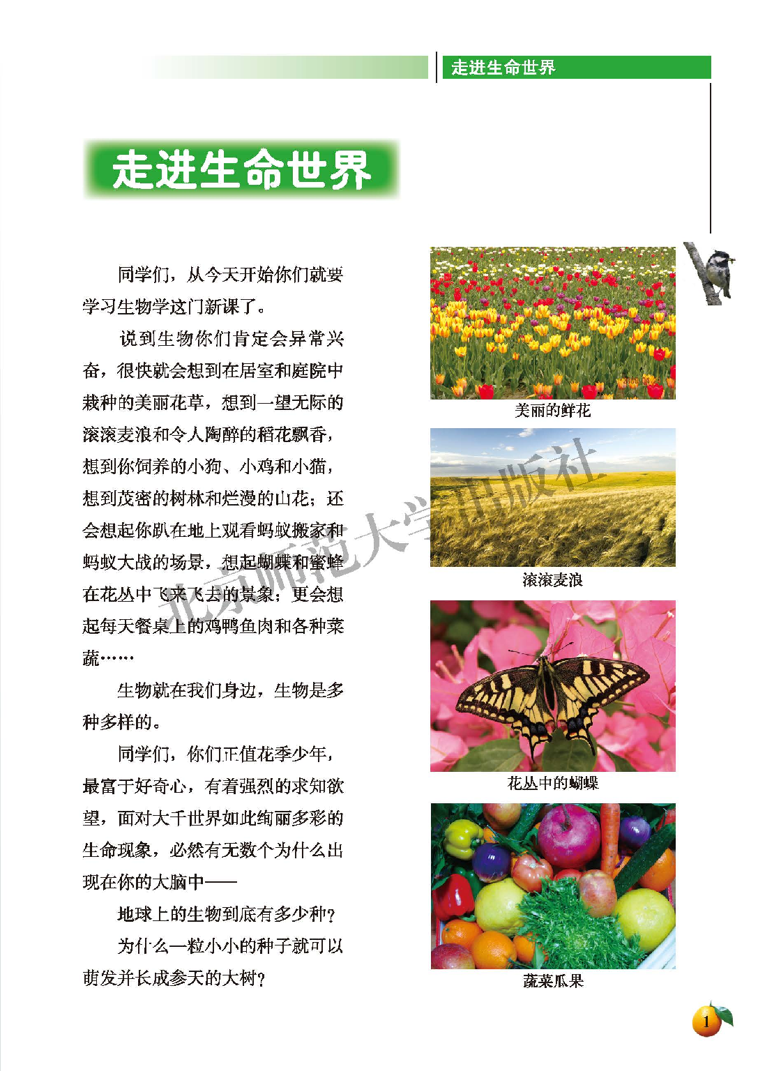 北师大7年级生物上册【高清教材】.pdf 第5页