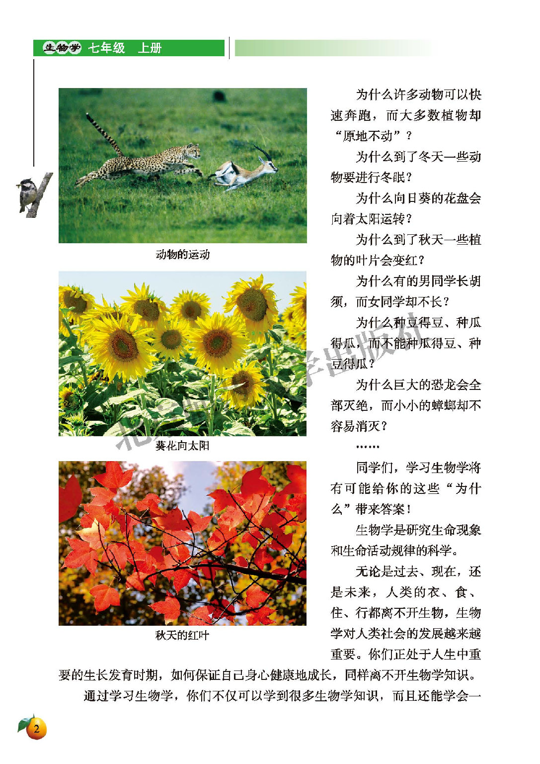 北师大7年级生物上册【高清教材】.pdf 第6页