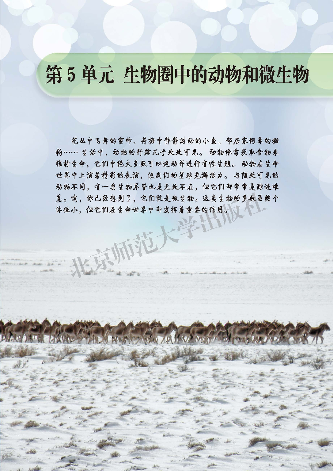 北师大8年级生物上册【高清教材】.pdf 第5页