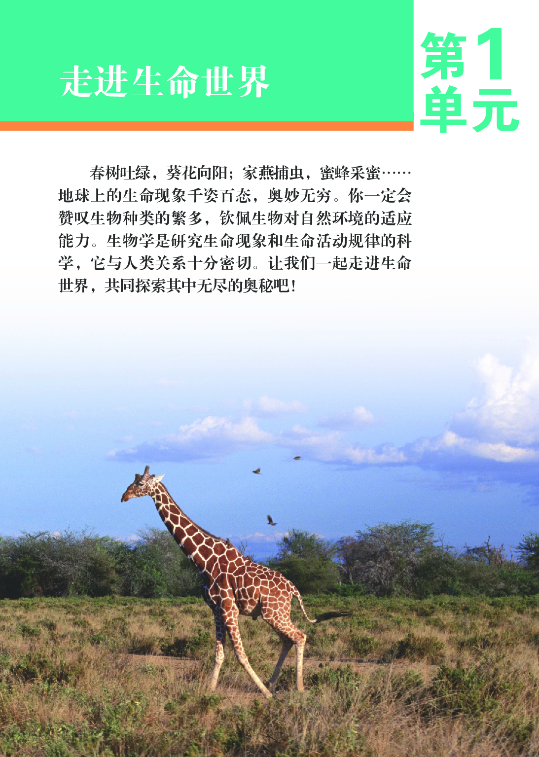 苏科版7年级生物上册【高清教材】.pdf 第6页