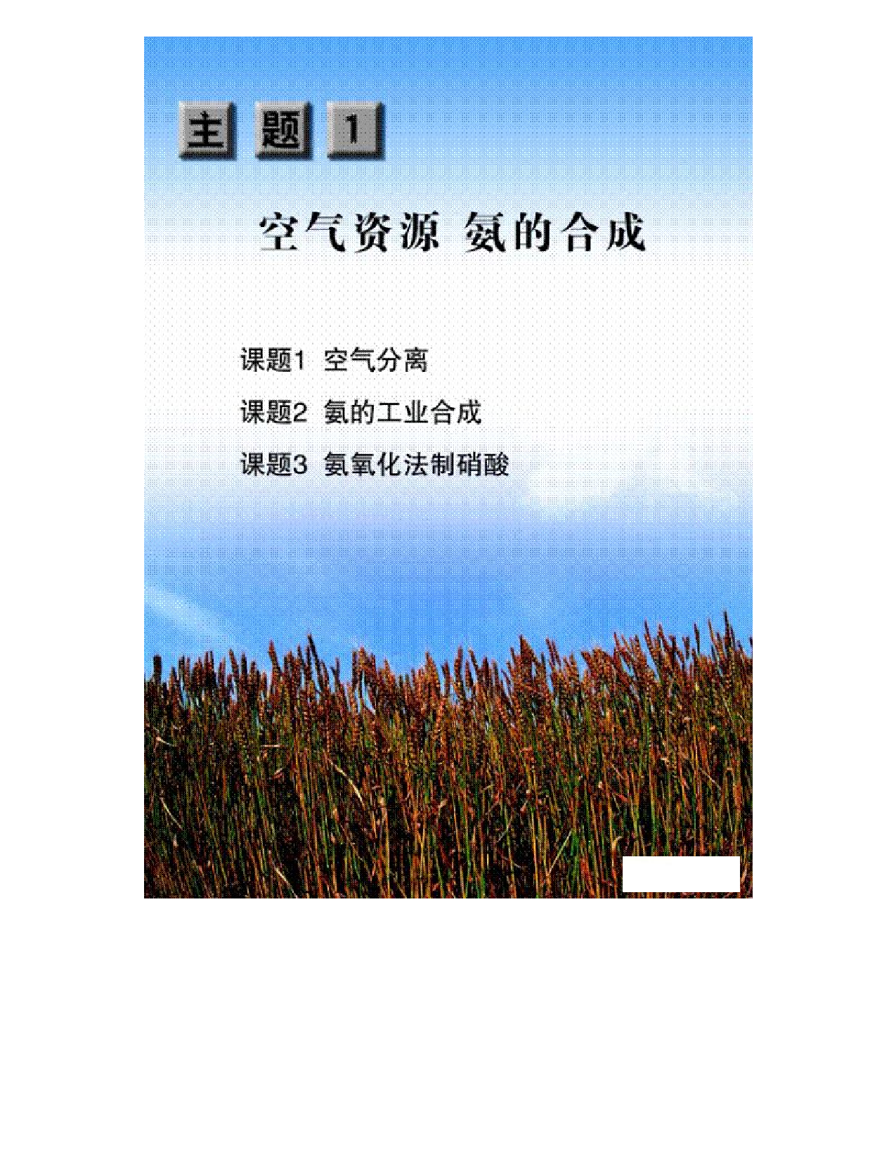 鲁科版高中化学选修2-化学与技术（2003课标版）.pdf 第2页