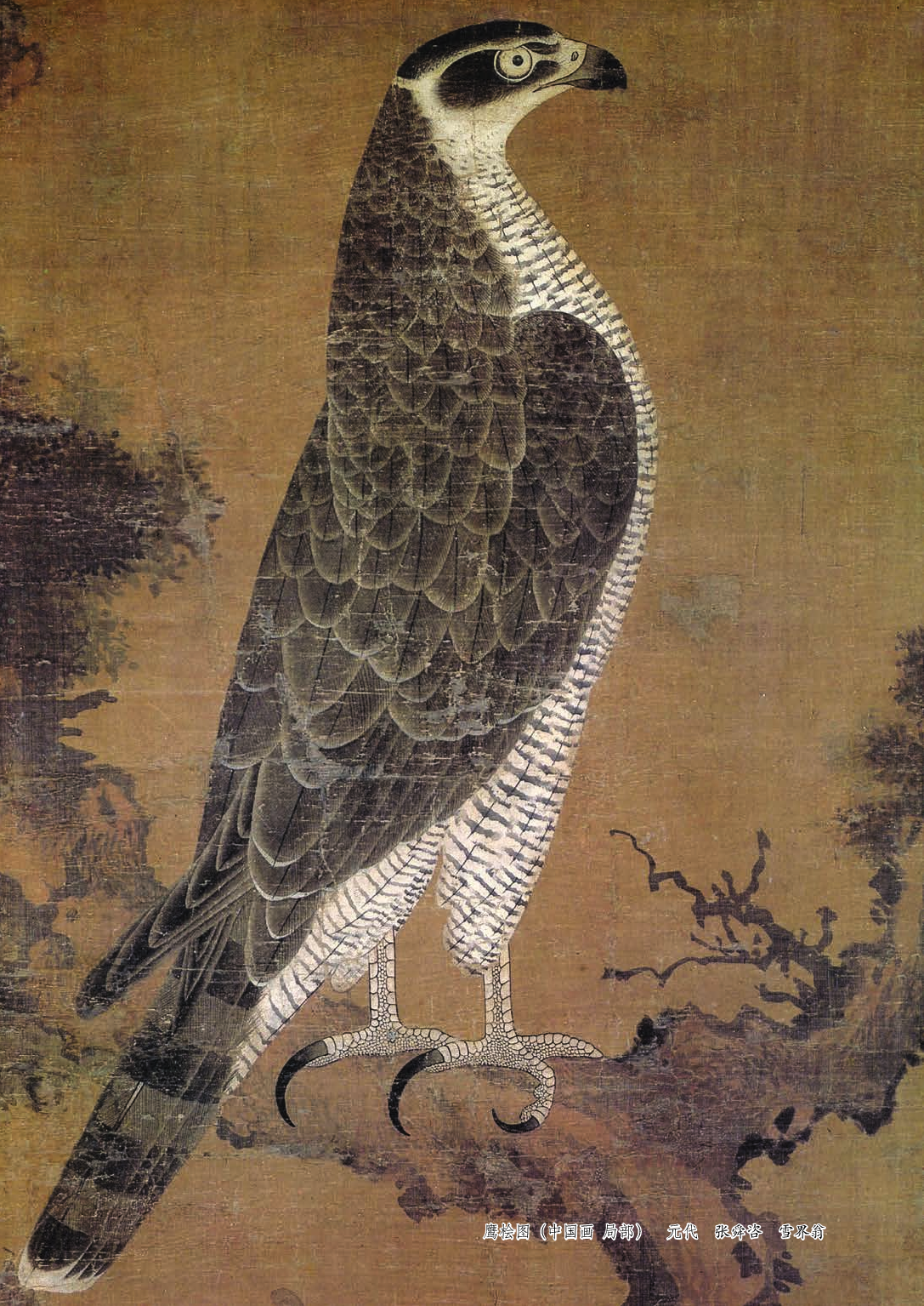 浙教版7年级美术上册【高清教材】.pdf 第5页