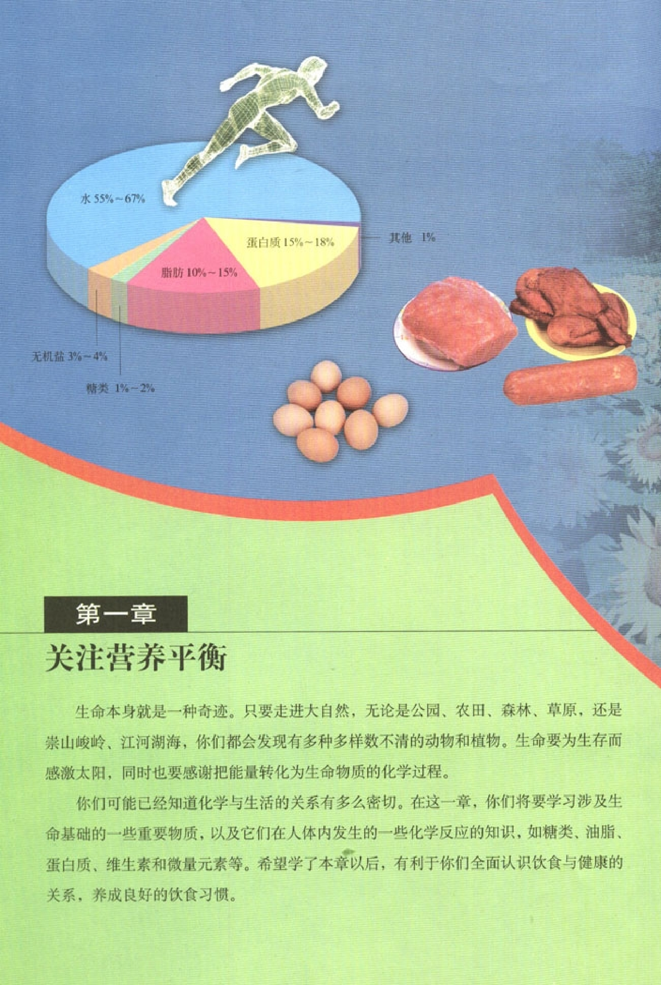 高中化学选修1 化学与生活.pdf 第5页