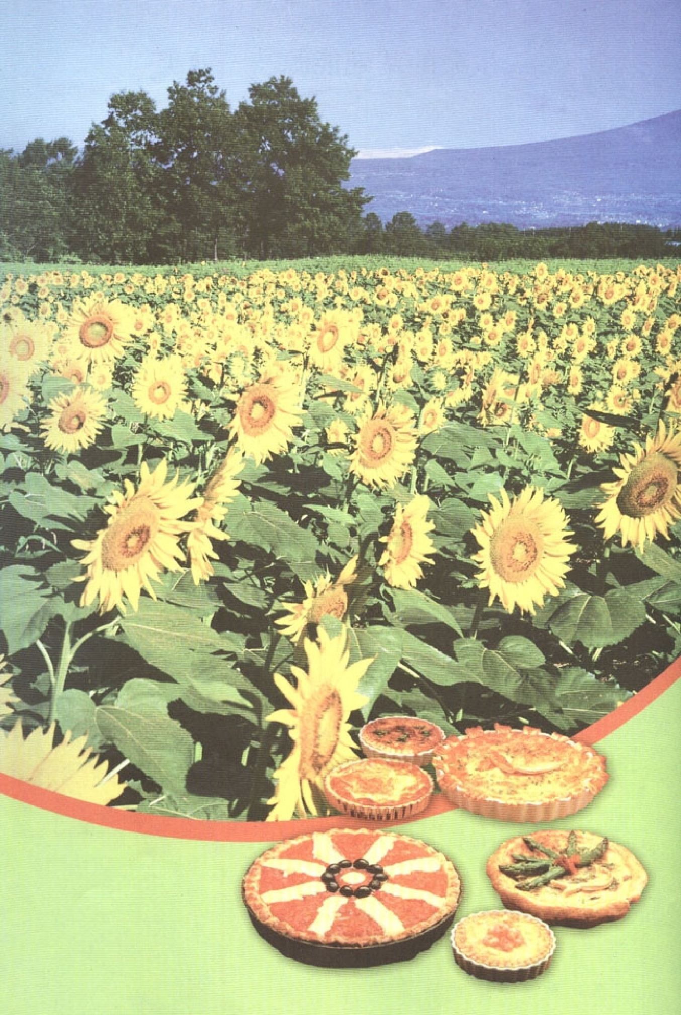 高中化学选修1 化学与生活.pdf 第6页