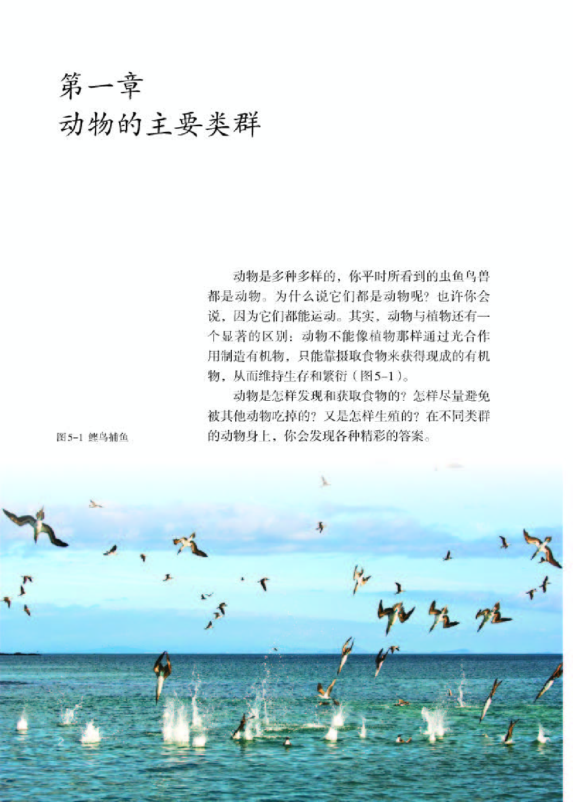 人教版8年级生物上册【高清教材】.pdf 第6页
