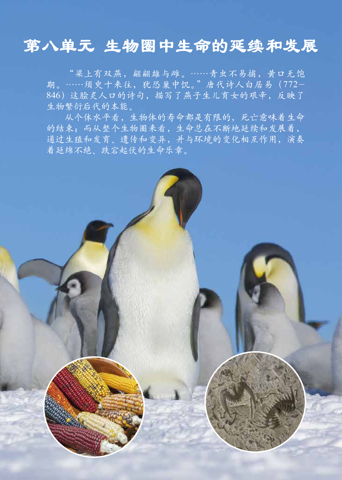 鲁教版8年级生物下册【高清教材】.pdf 第6页