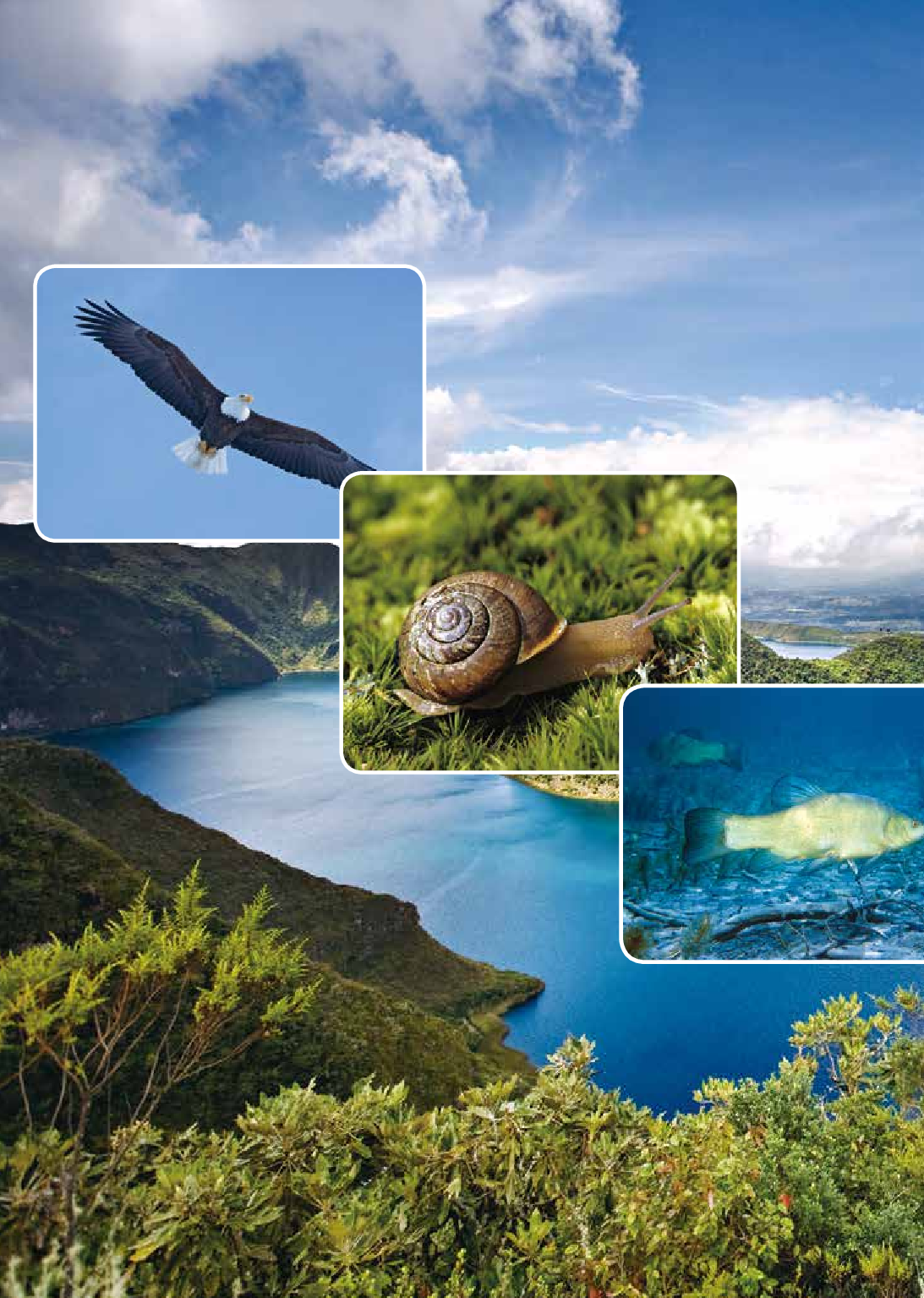 鲁教版8年级生物上册【高清教材】.pdf 第5页