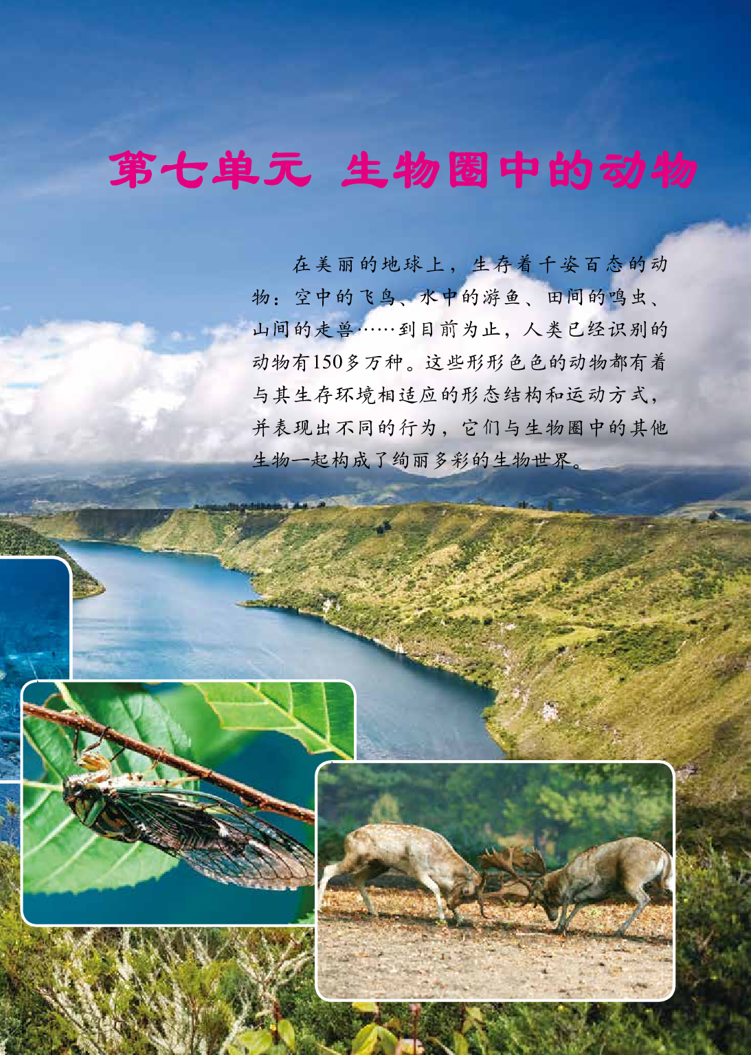 鲁教版8年级生物上册【高清教材】.pdf 第6页