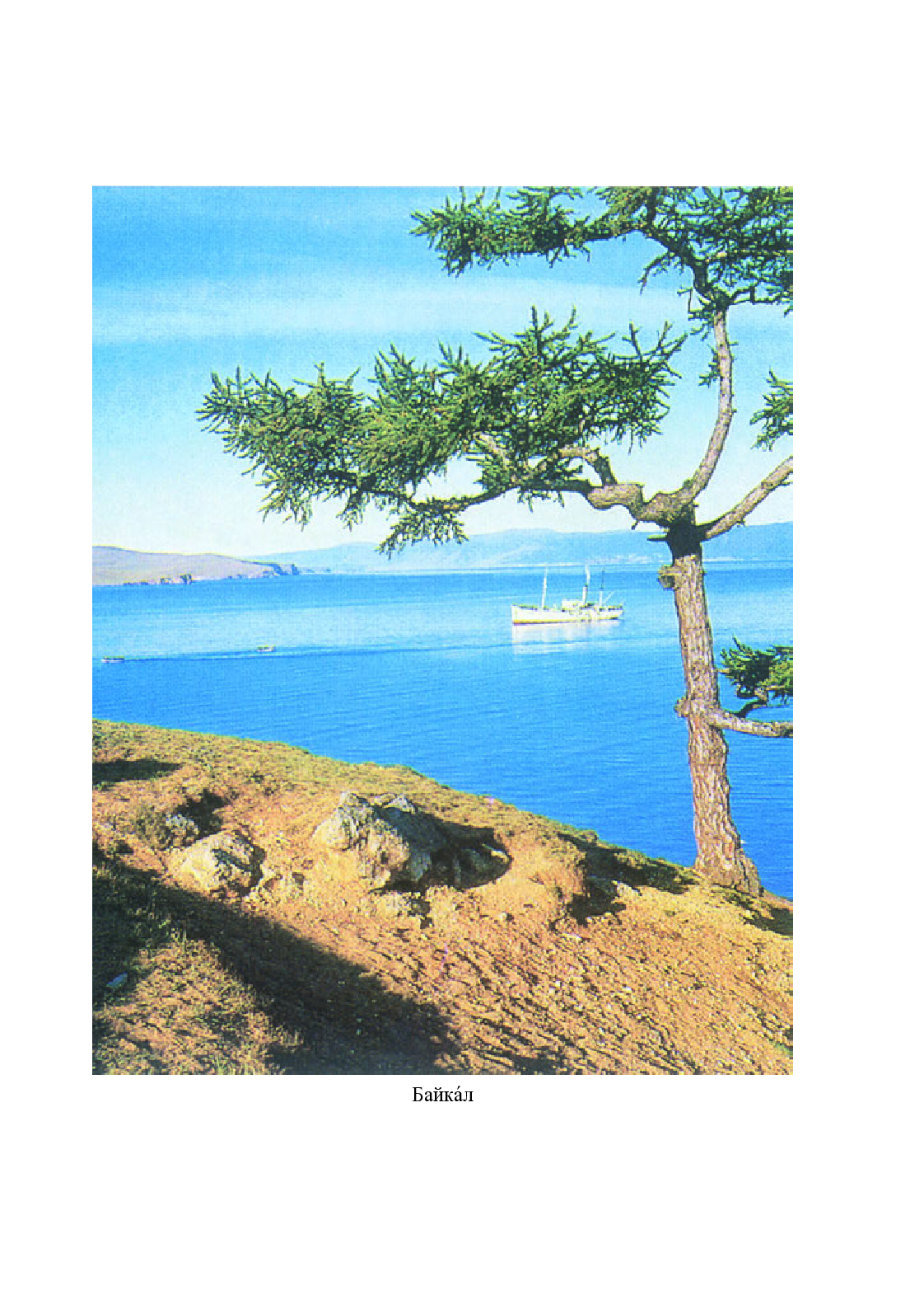 人教版8年级俄语全一册【高清教材】.pdf 第5页