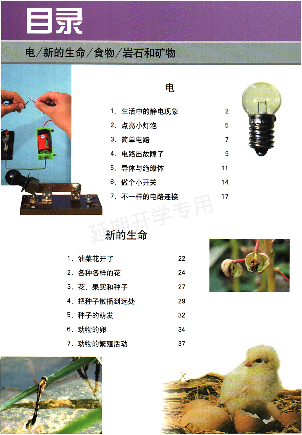 旧版四年级下册科学教科版电子课本.pdf 第5页
