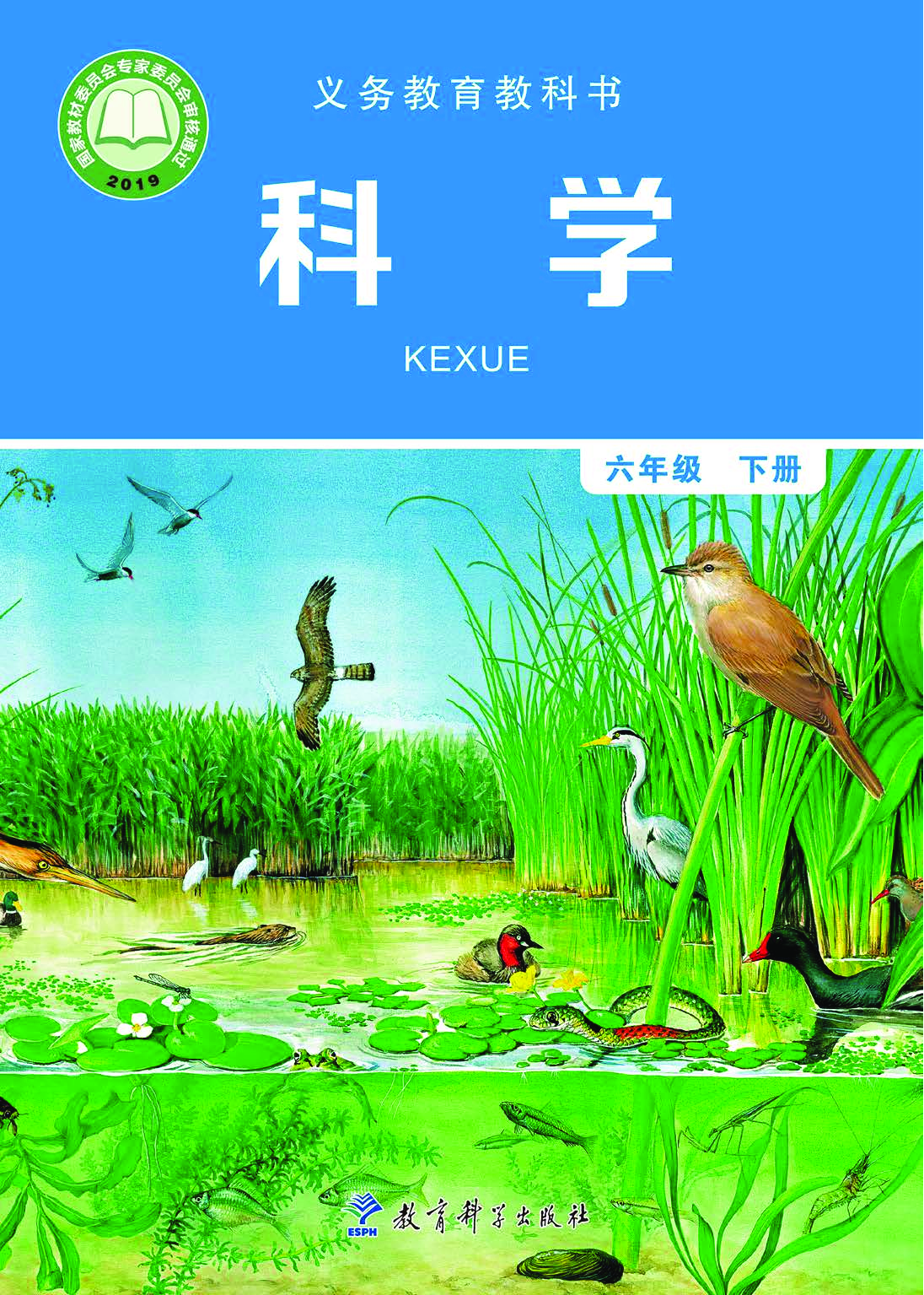 教科版6年级科学下册【高清教材】.pdf 第1页