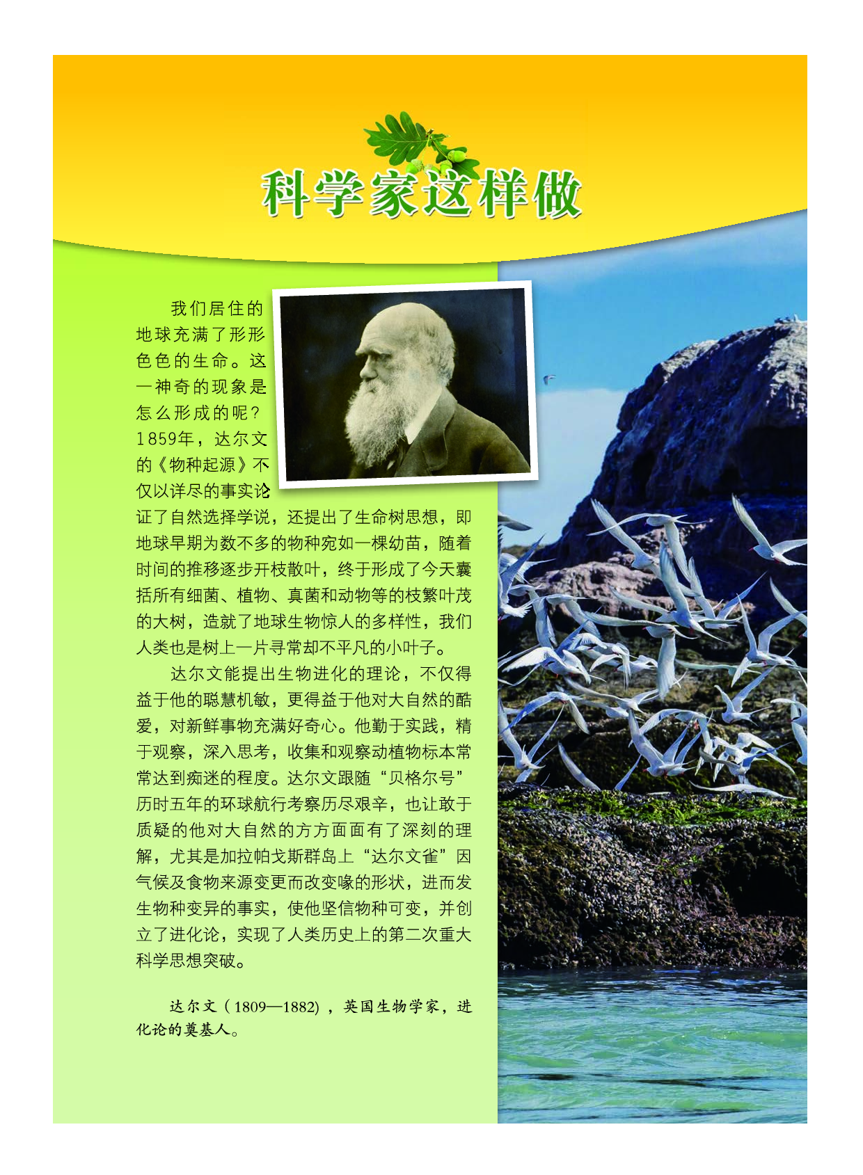 教科版6年级科学下册【高清教材】.pdf 第4页