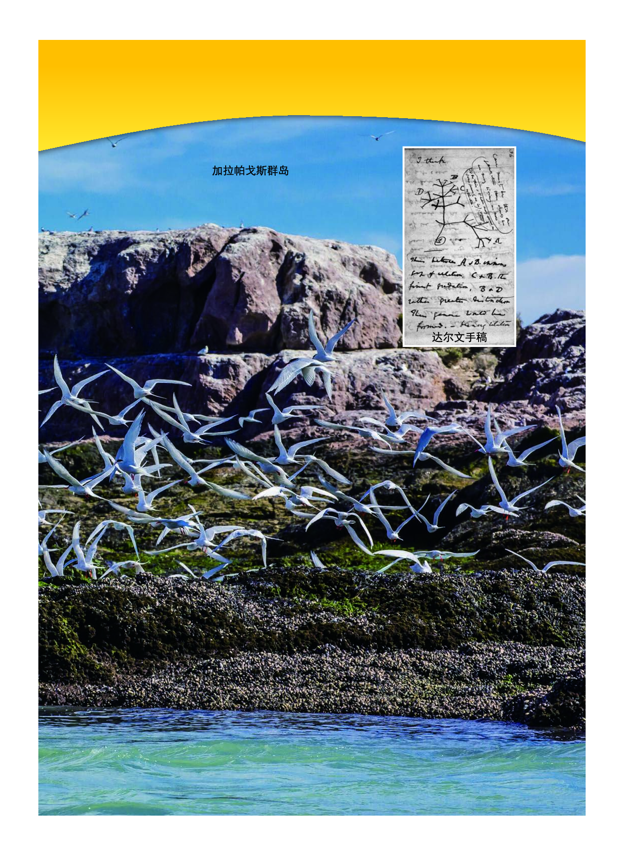 教科版6年级科学下册【高清教材】.pdf 第5页