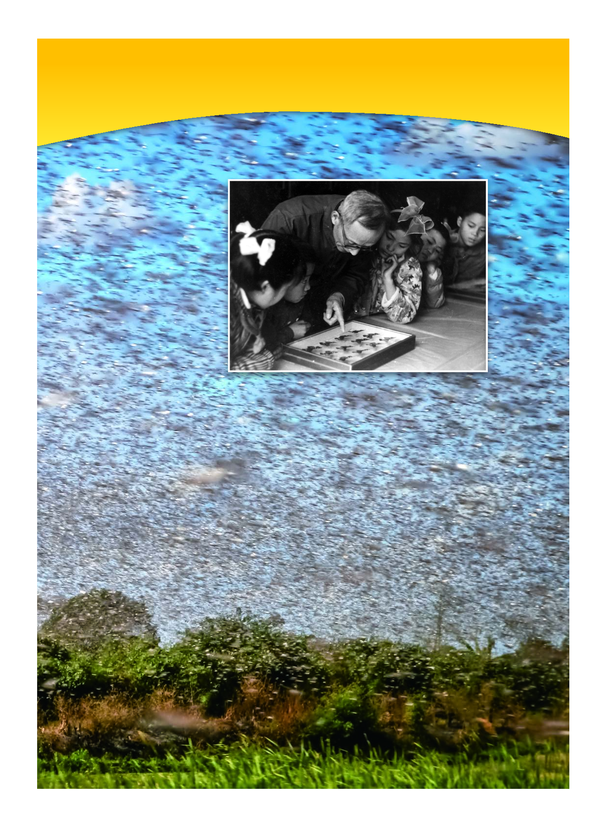 教科版5年级科学下册【高清教材】.pdf 第5页