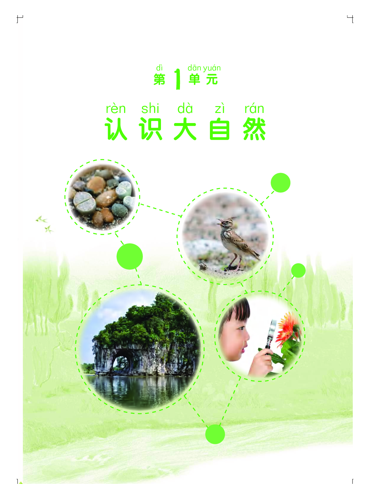 粤教版1年级科学上册【高清教材】.pdf 第6页