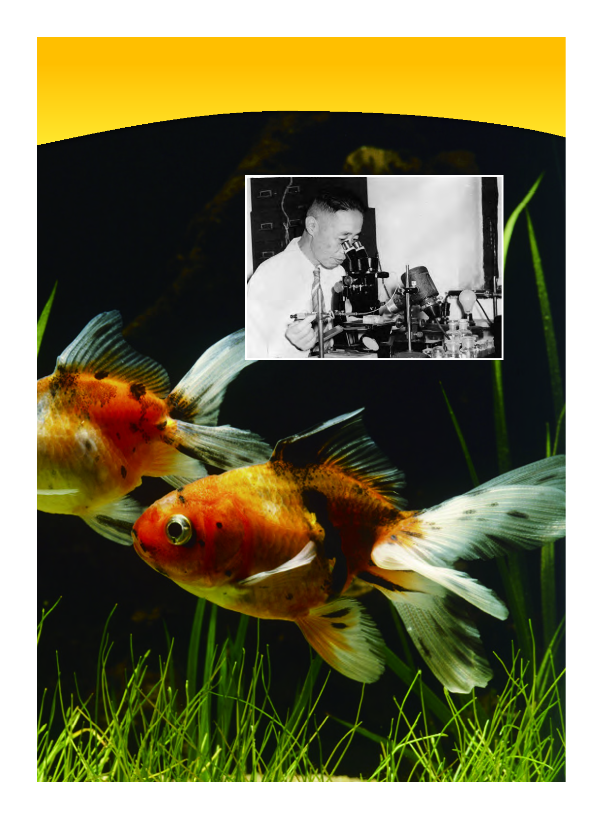 教科版3年级科学下册【高清教材】.pdf 第5页