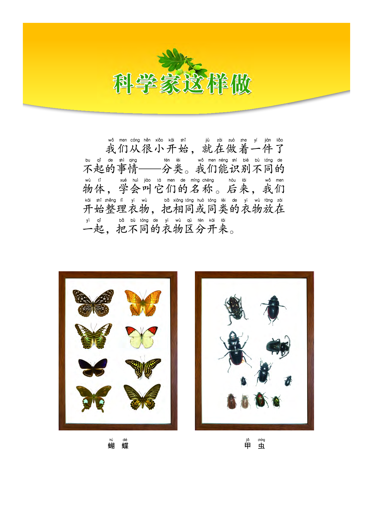 教科版1年级科学下册【高清教材】.pdf 第4页