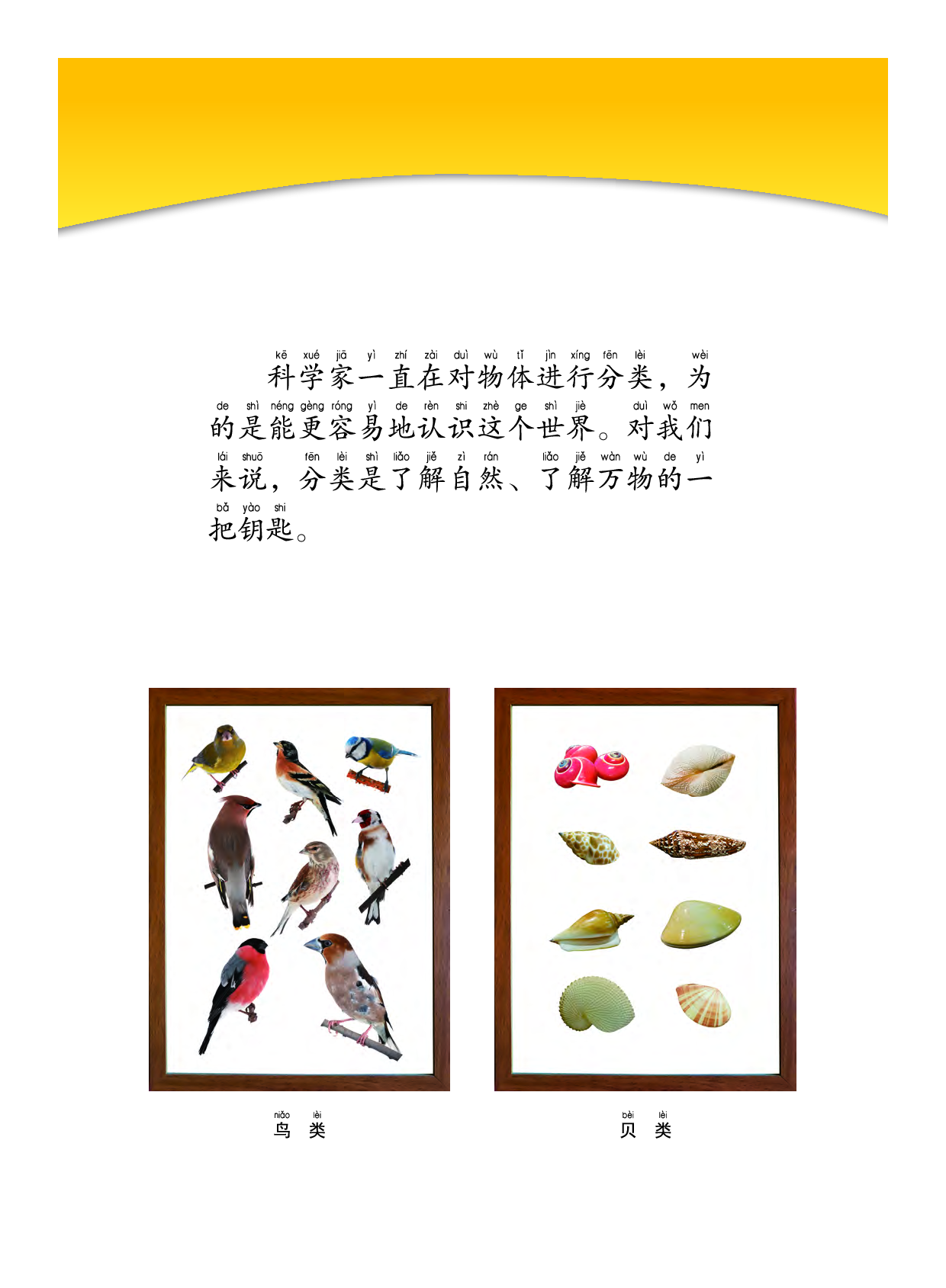 教科版1年级科学下册【高清教材】.pdf 第5页