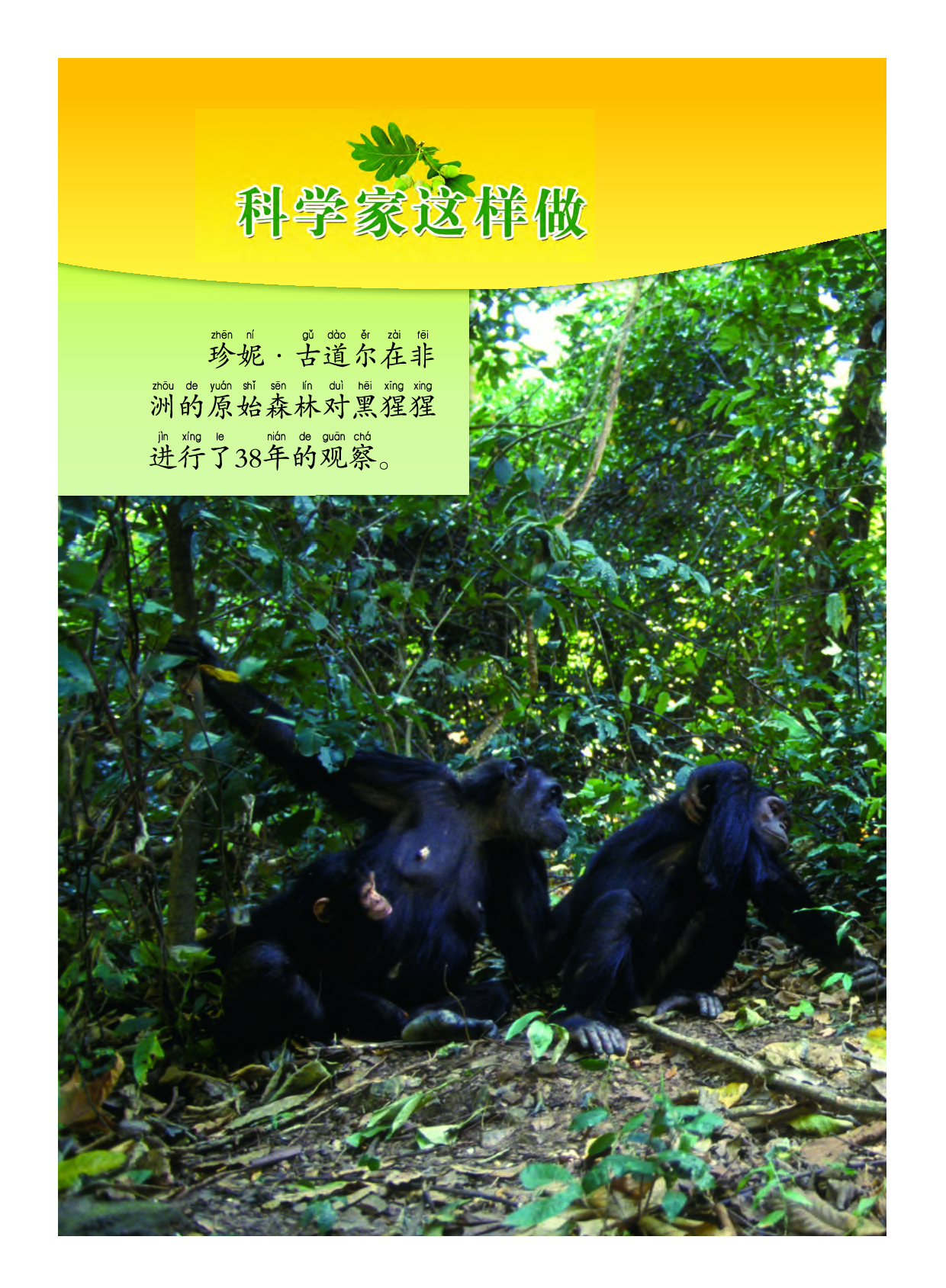 教科版1年级科学上册【高清教材】.pdf 第4页