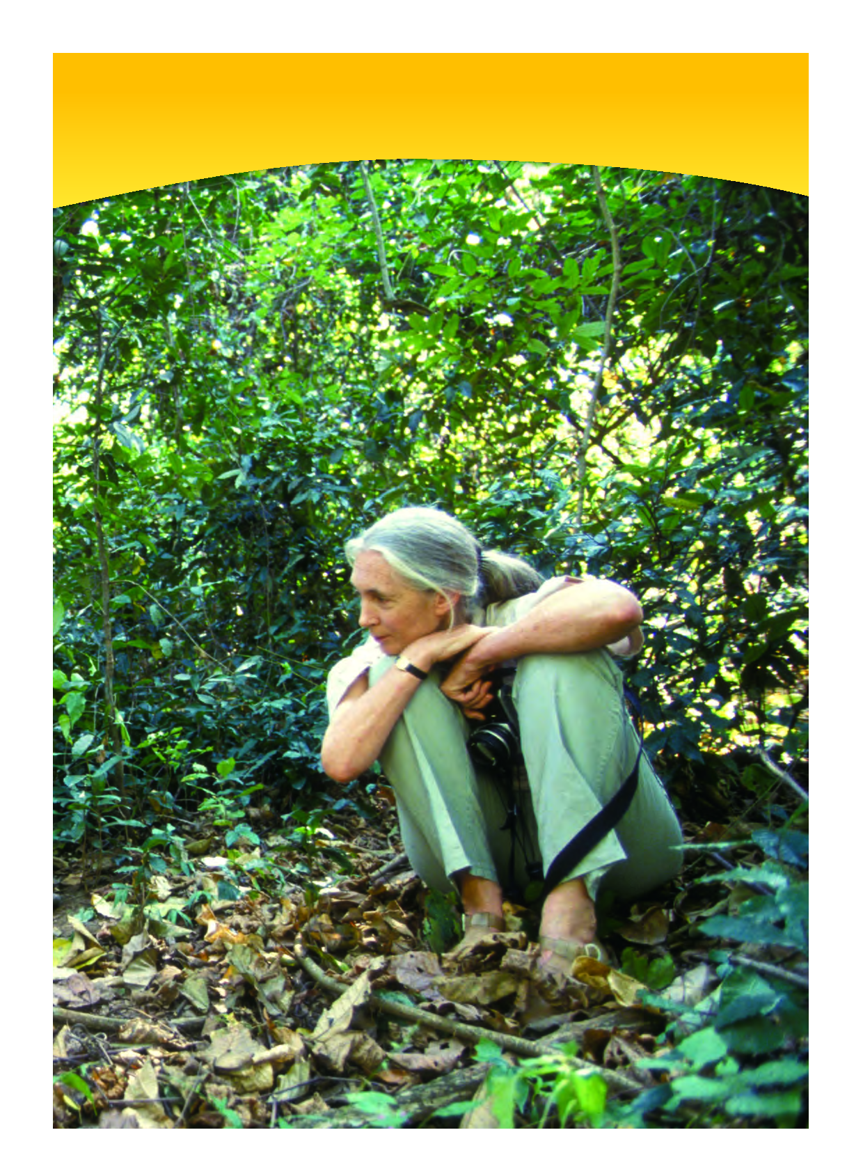 教科版1年级科学上册【高清教材】.pdf 第5页