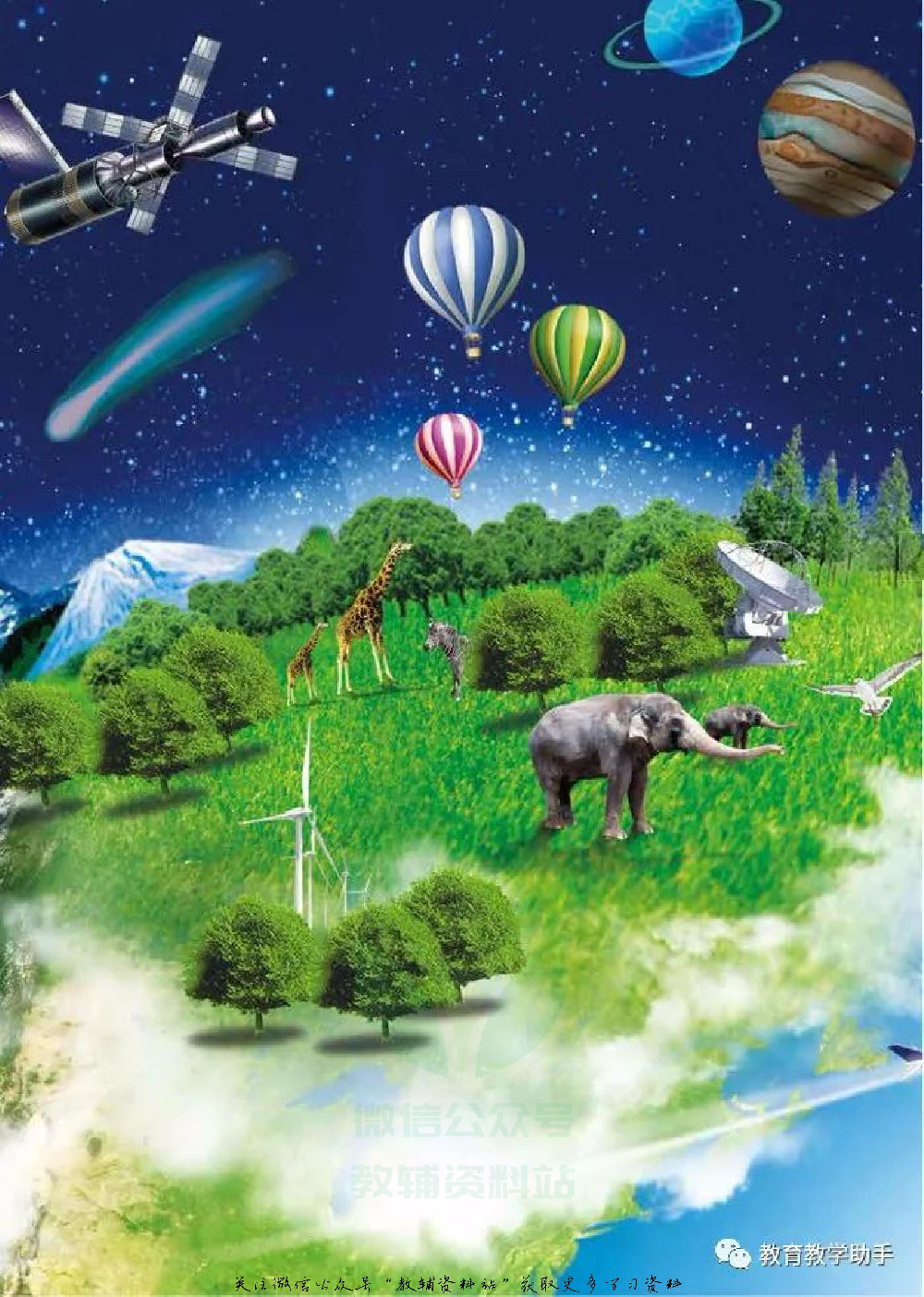 一年级上册科学青岛版五四制电子课本.pdf 第5页