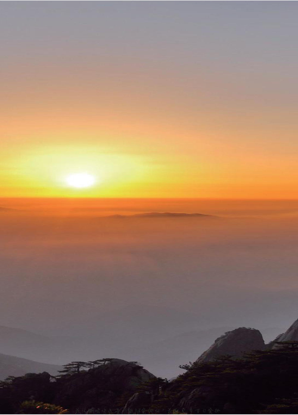 二年级下册科学青岛五四制电子课本.pdf 第6页