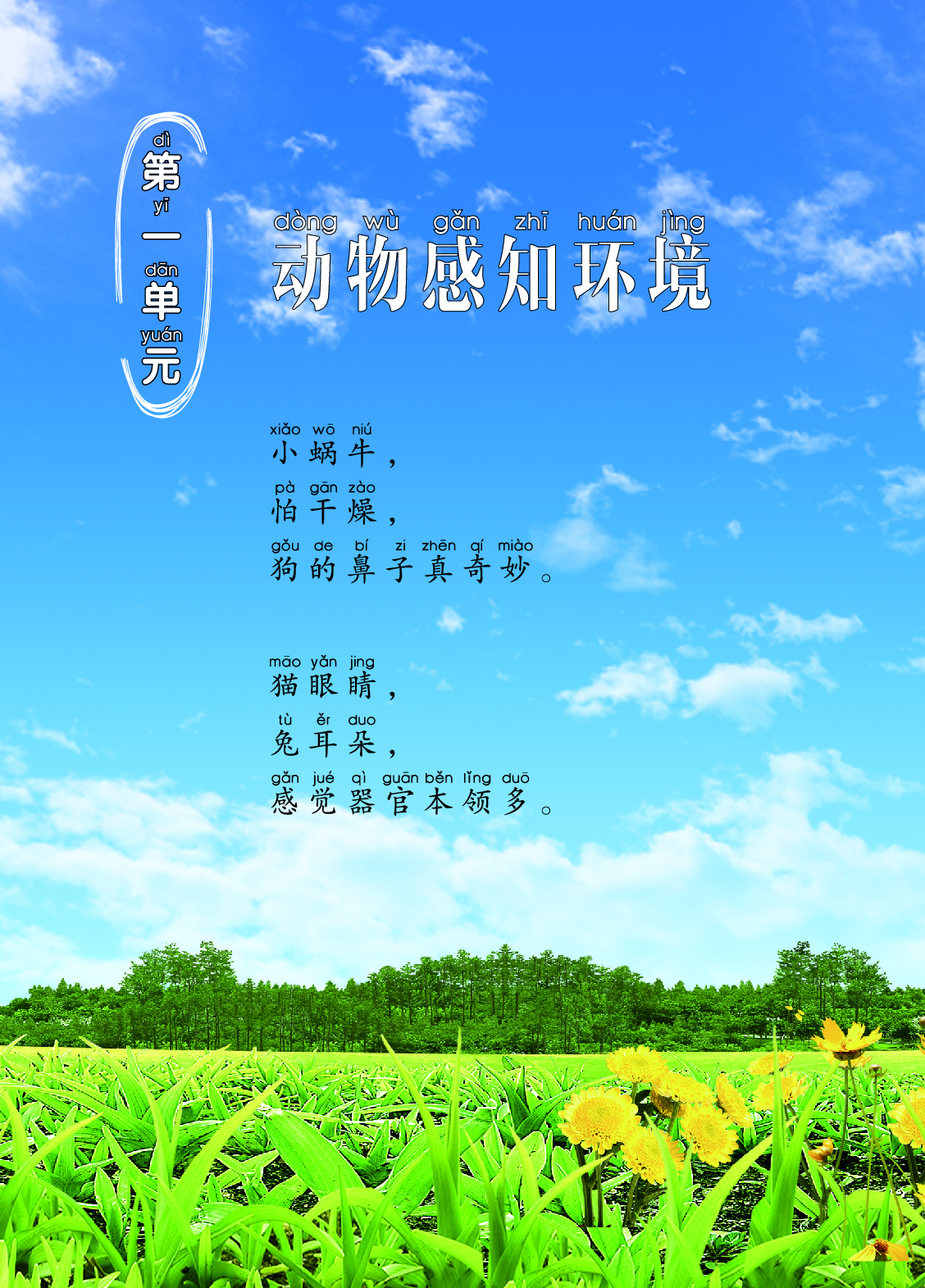 二年级上册科学青岛版五四制电子课本.pdf 第6页