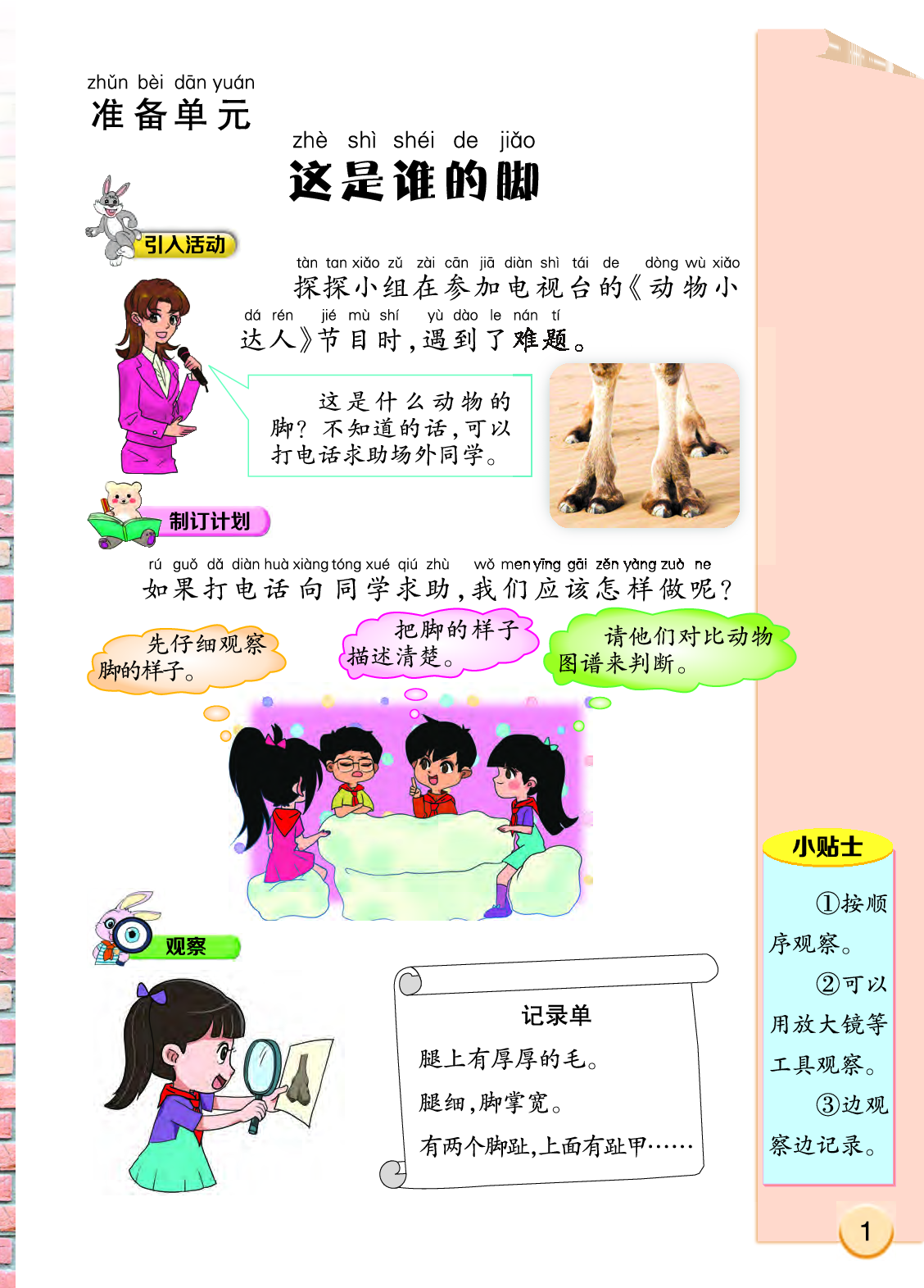 大象版2年级科学上册【高清教材】.pdf 第6页