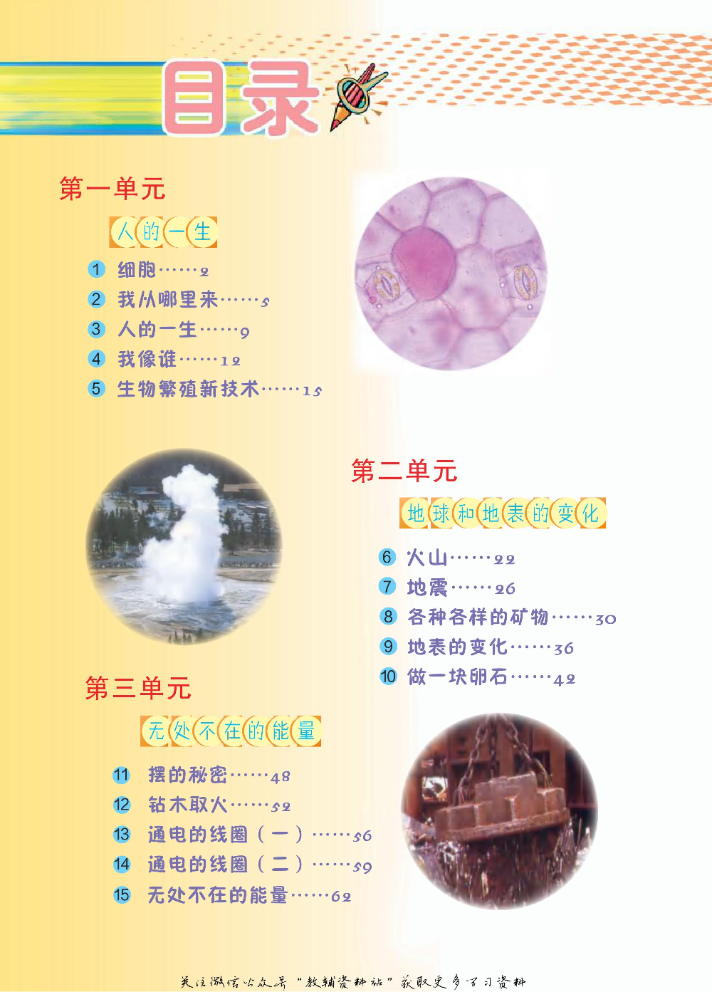 五年级下册科学青岛五四制电子课本.pdf 第2页