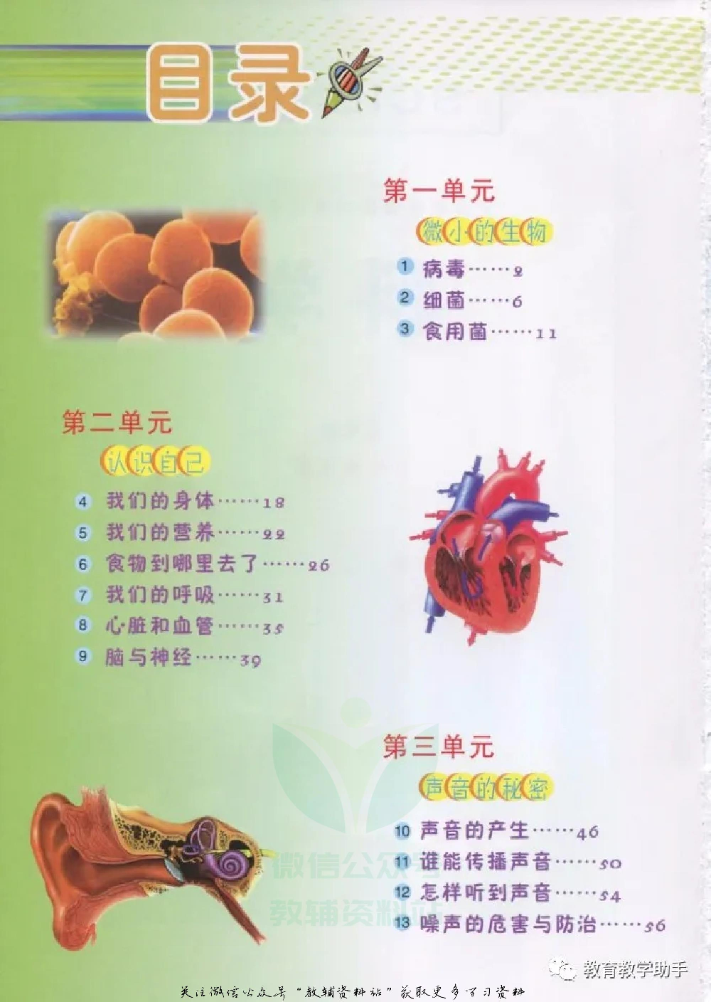 五年级上册科学青岛版五四制电子课本.pdf 第4页