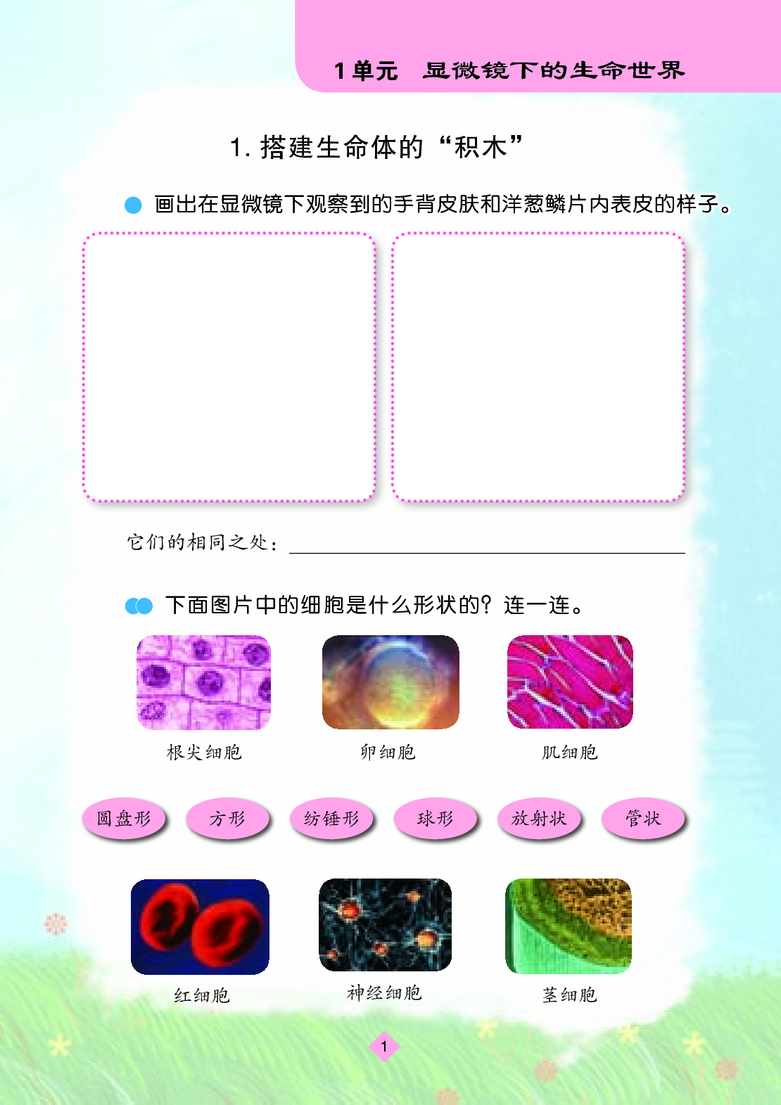 苏教版5年级科学下册【活动手册】.pdf 第4页