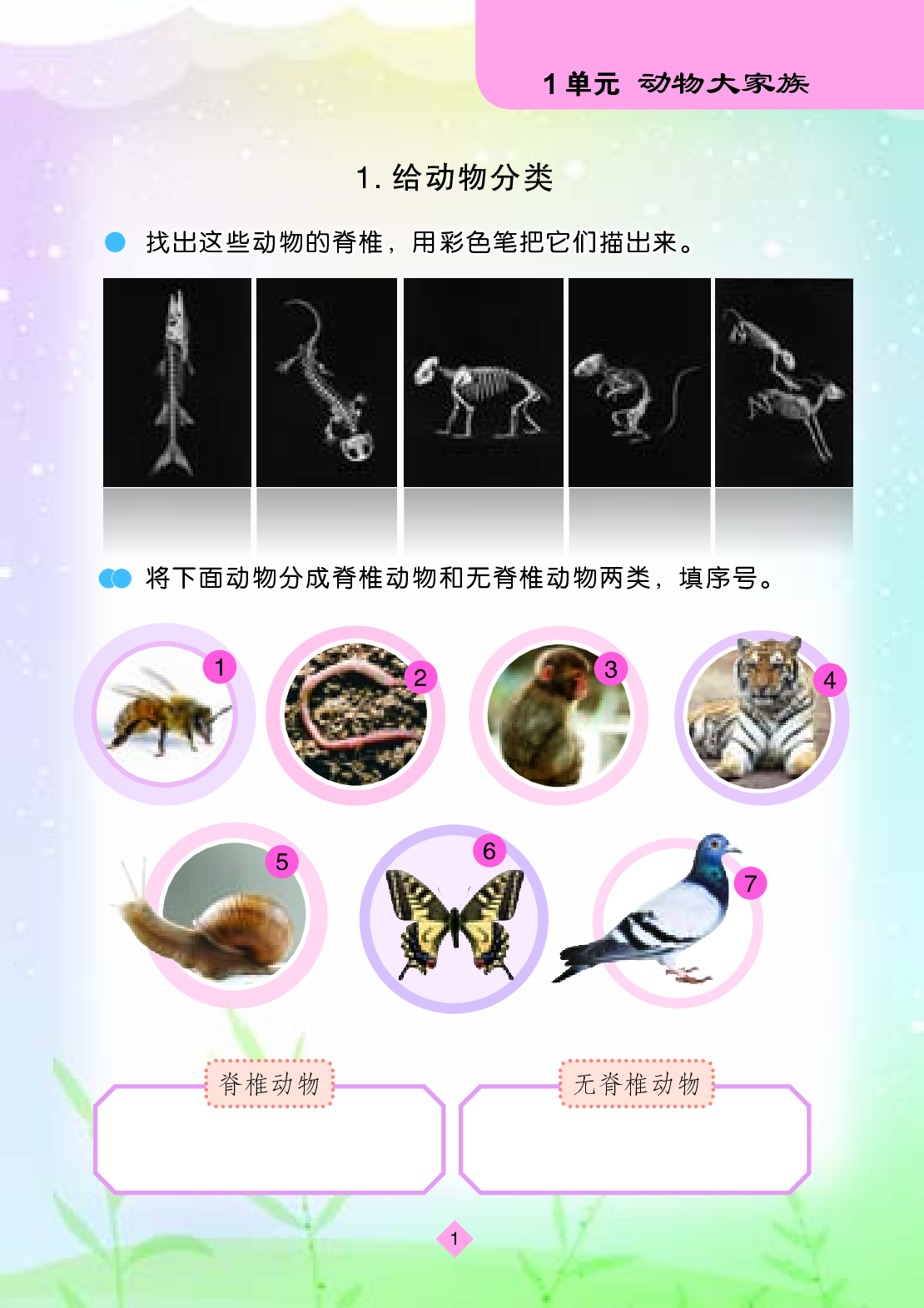 苏教版4年级科学上册【活动手册】.pdf 第4页