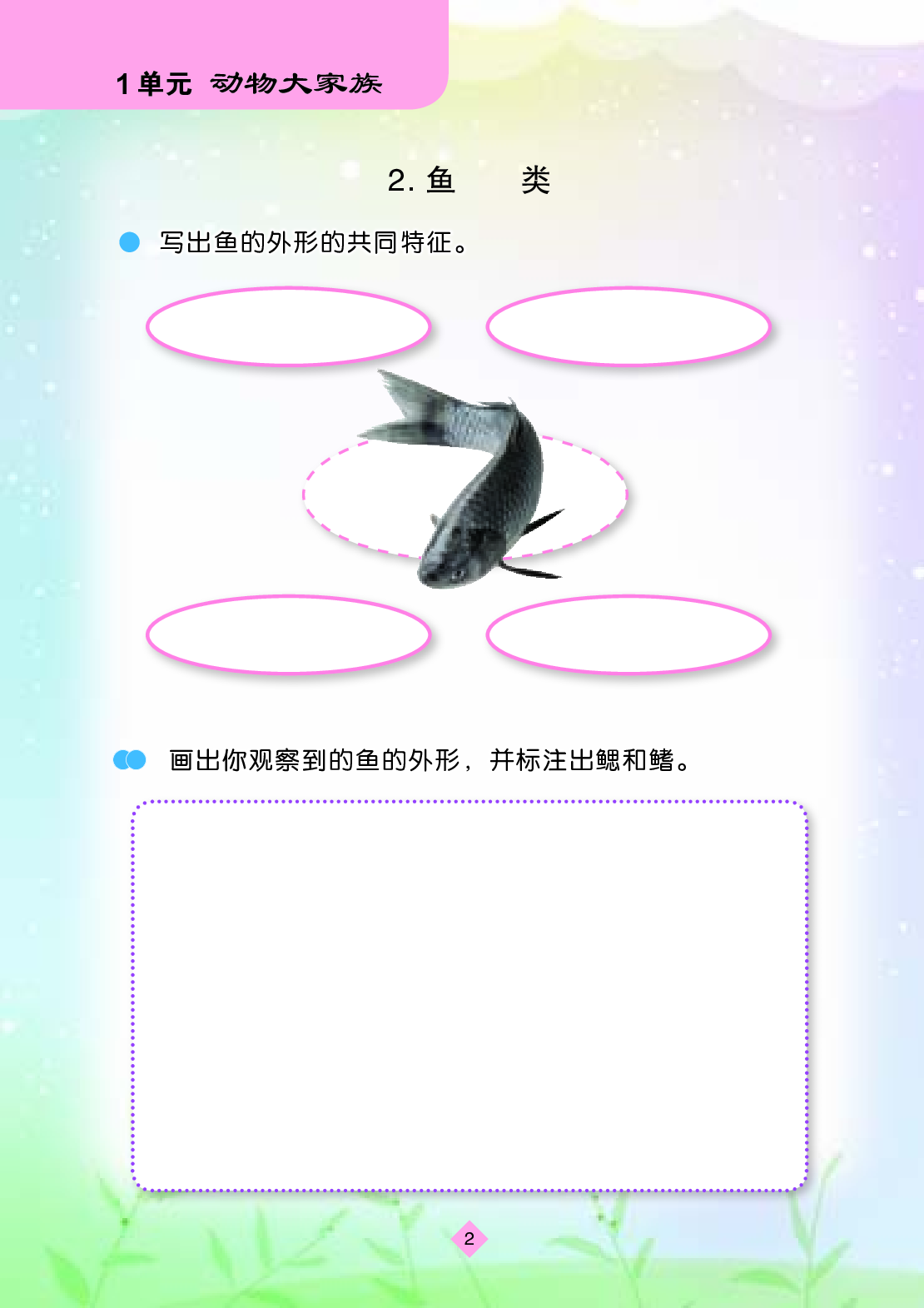 苏教版4年级科学上册【活动手册】.pdf 第5页