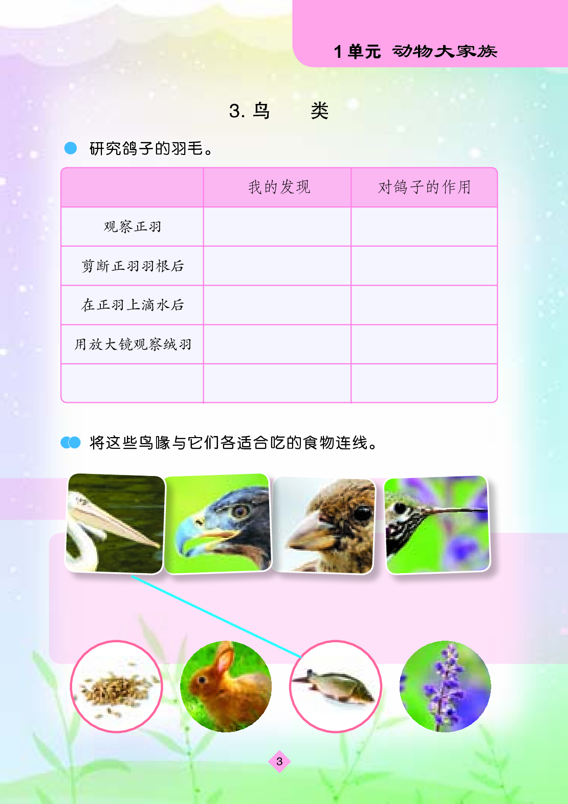 苏教版4年级科学上册【活动手册】.pdf 第6页