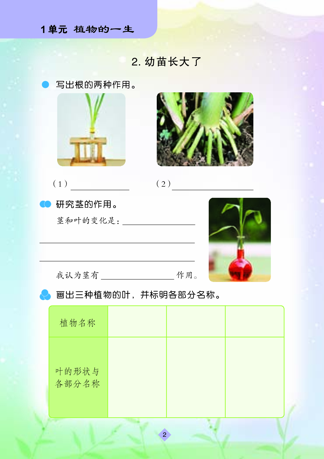 苏教版3年级科学下册【活动手册】.pdf 第5页