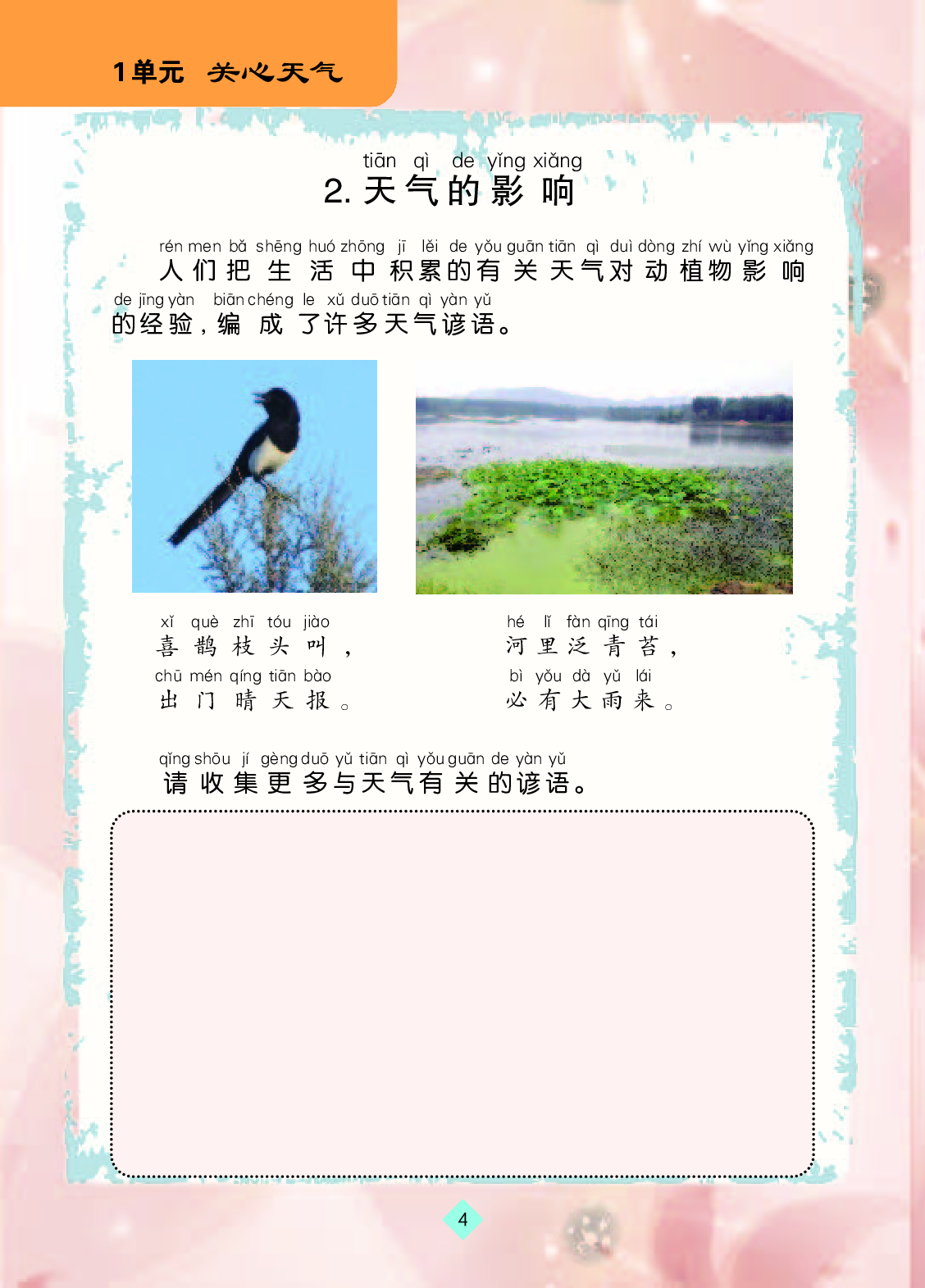 苏教版2年级科学上册【活动手册】.pdf 第5页