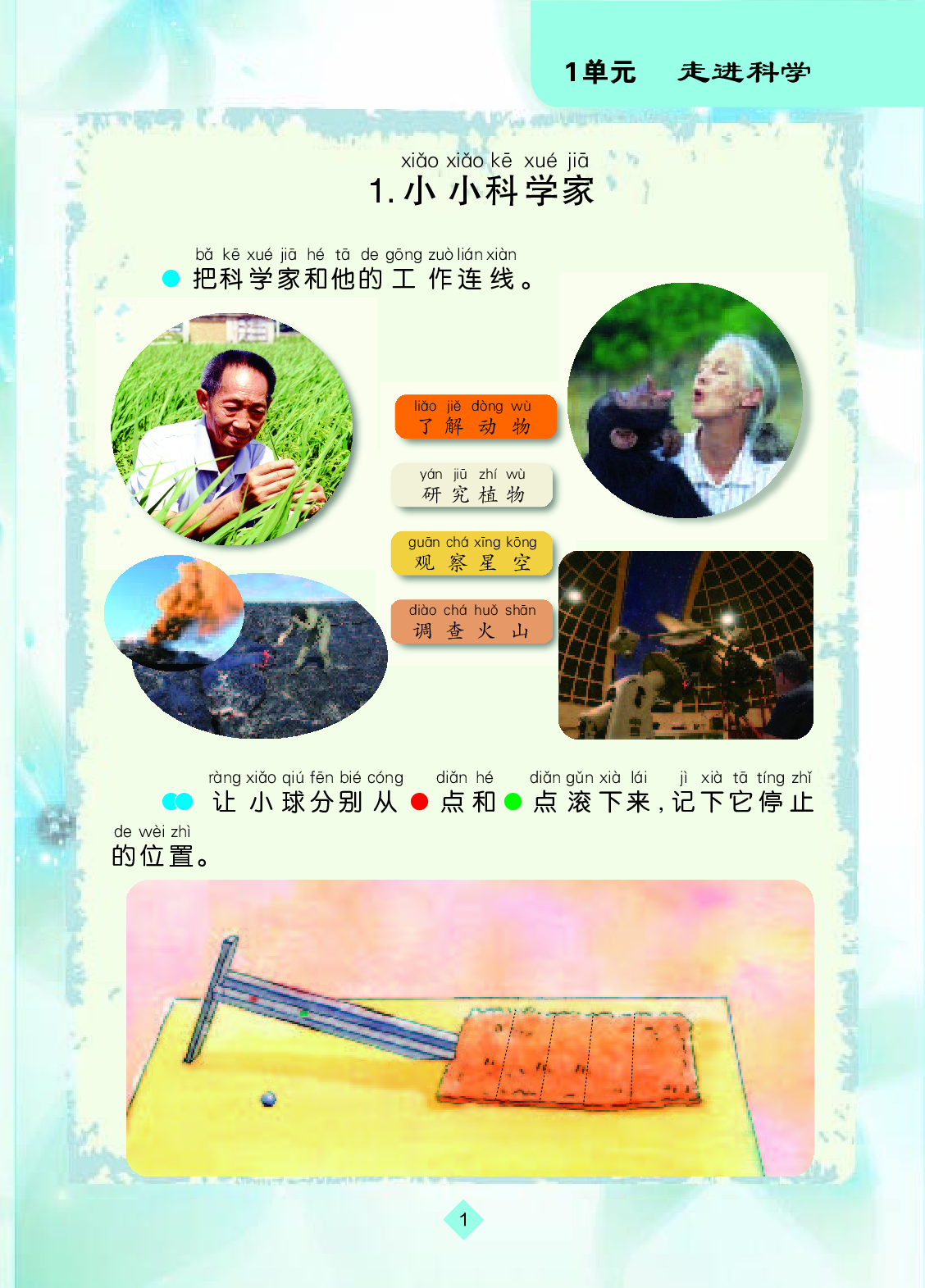 苏教版1年级科学上册【活动手册】.pdf 第4页