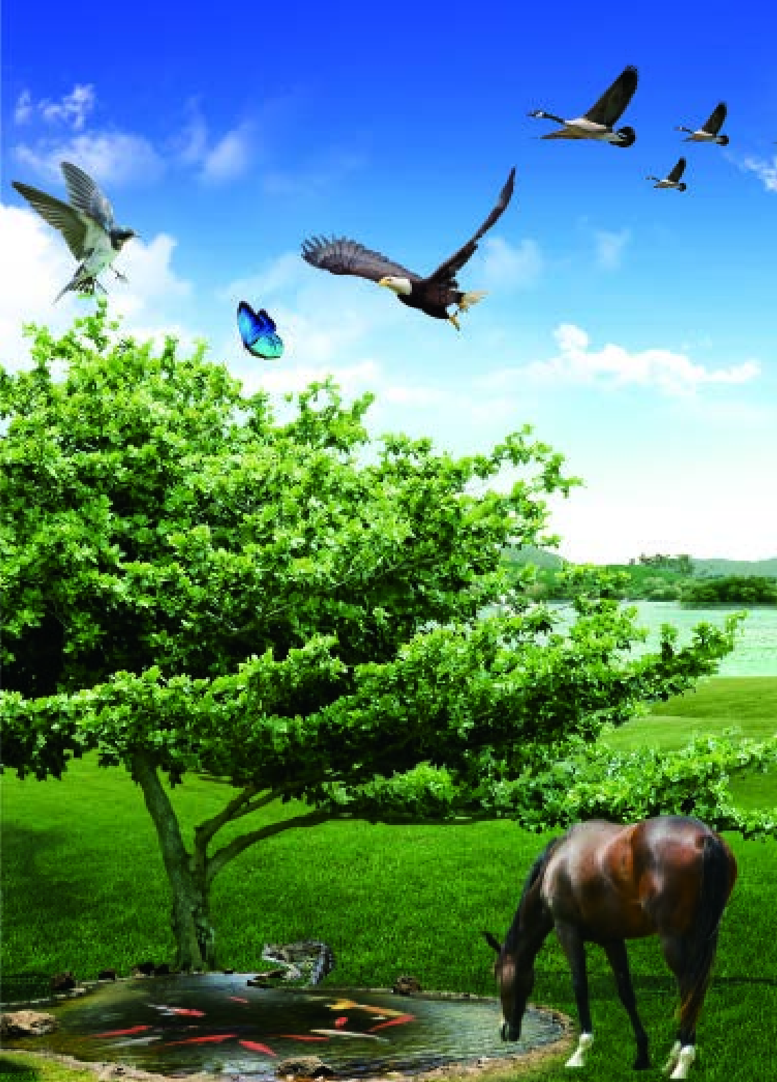 四年级上册科学青岛版五四制电子课本.pdf 第4页