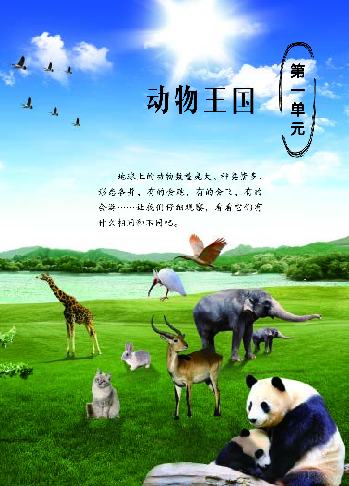 四年级上册科学青岛版五四制电子课本.pdf 第5页